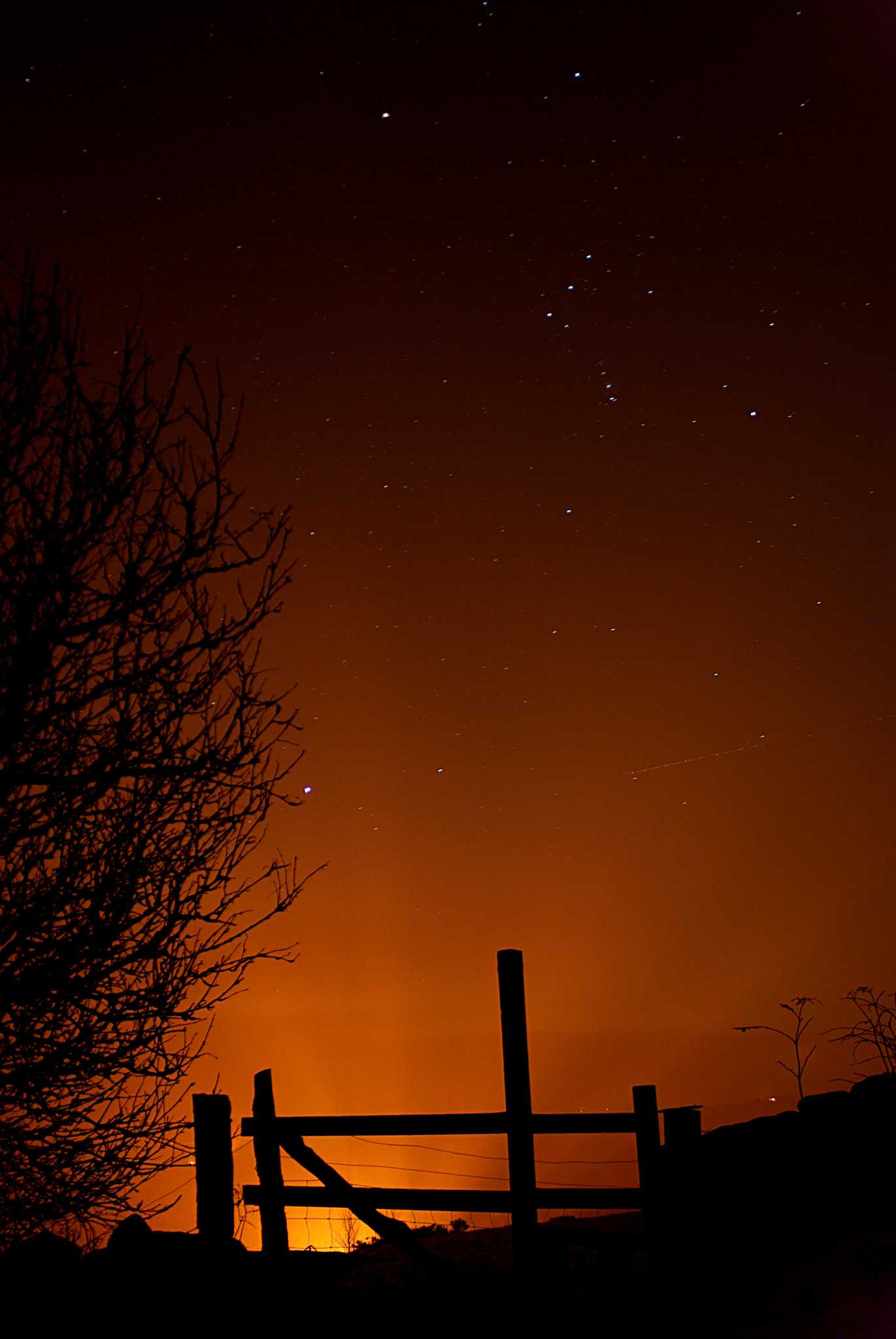 Sony Alpha DSLR-A200 + Minolta AF 24mm F2.8 sample photo. Orion in the mist photography