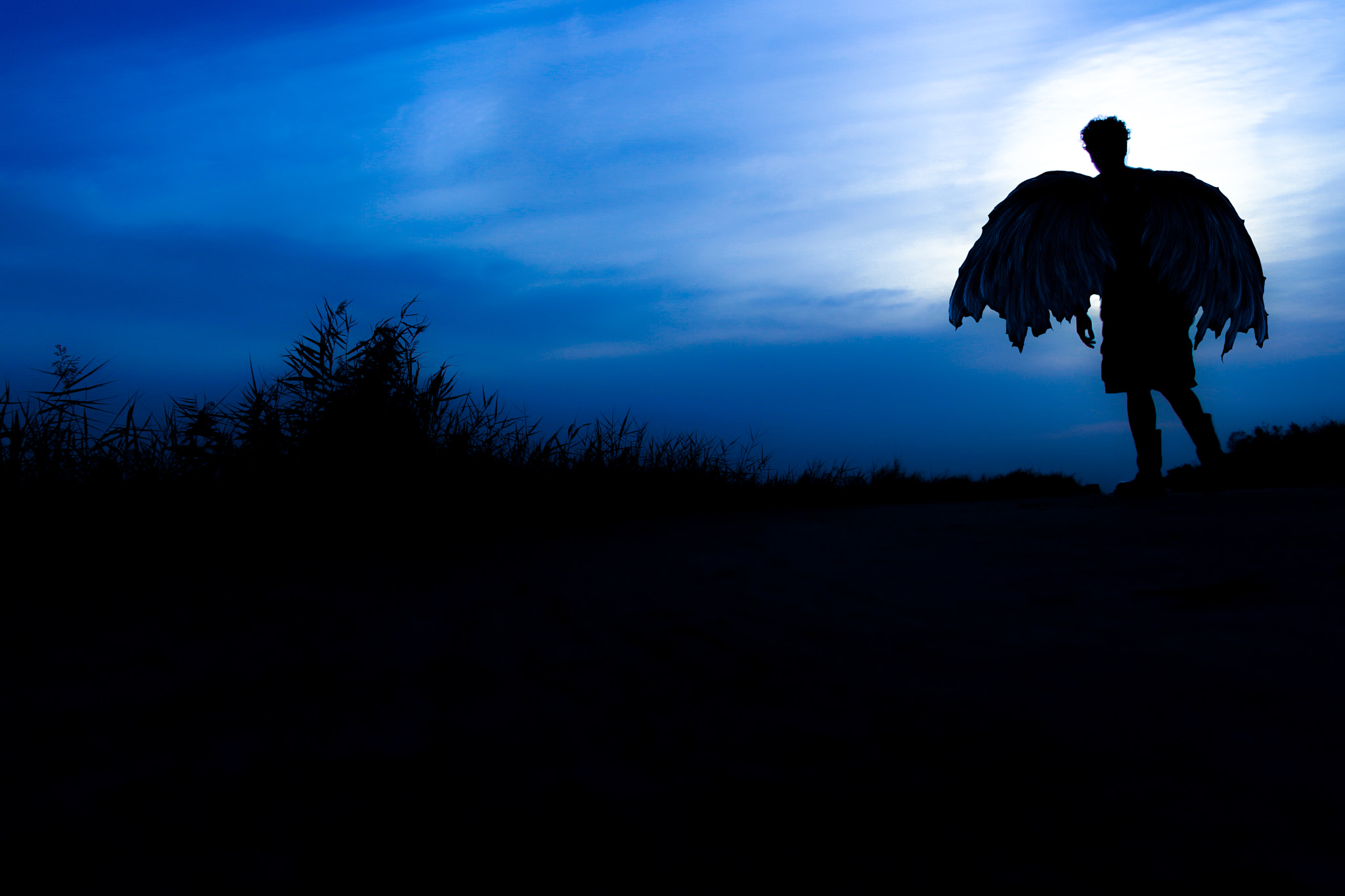 Canon EOS 650D (EOS Rebel T4i / EOS Kiss X6i) sample photo. Fallen angel quotes photography