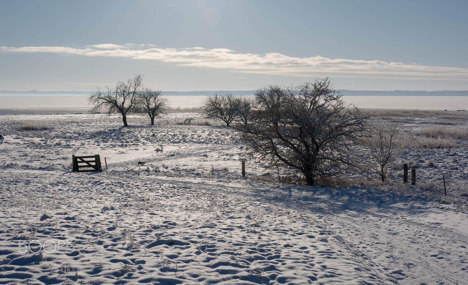 Nikon D5200 + AF-S Nikkor 35mm f/1.8G sample photo. Winter view photography