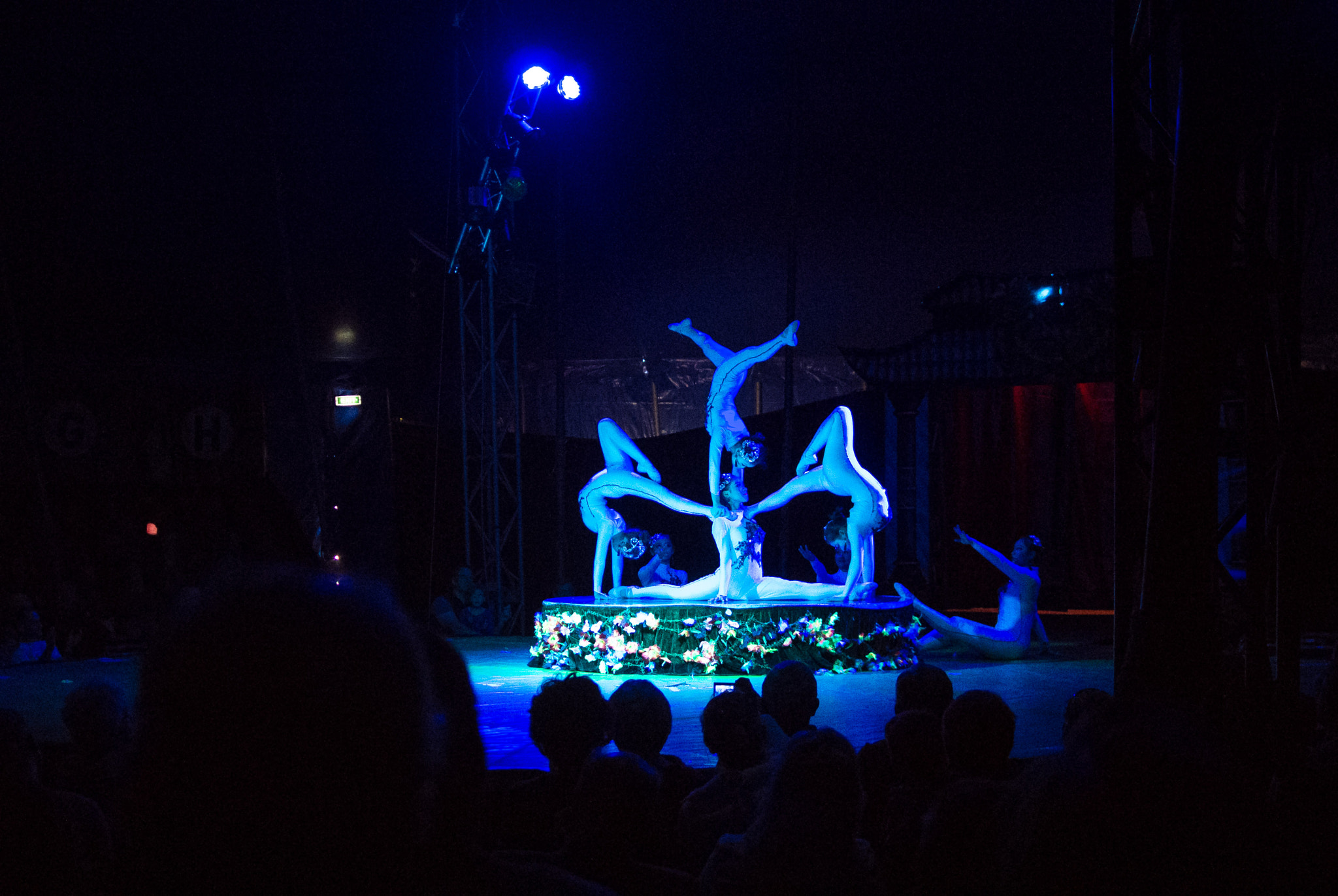Nikon 1 J1 + Nikon 1 Nikkor 18.5mm F1.8 sample photo. Chinese circus photography