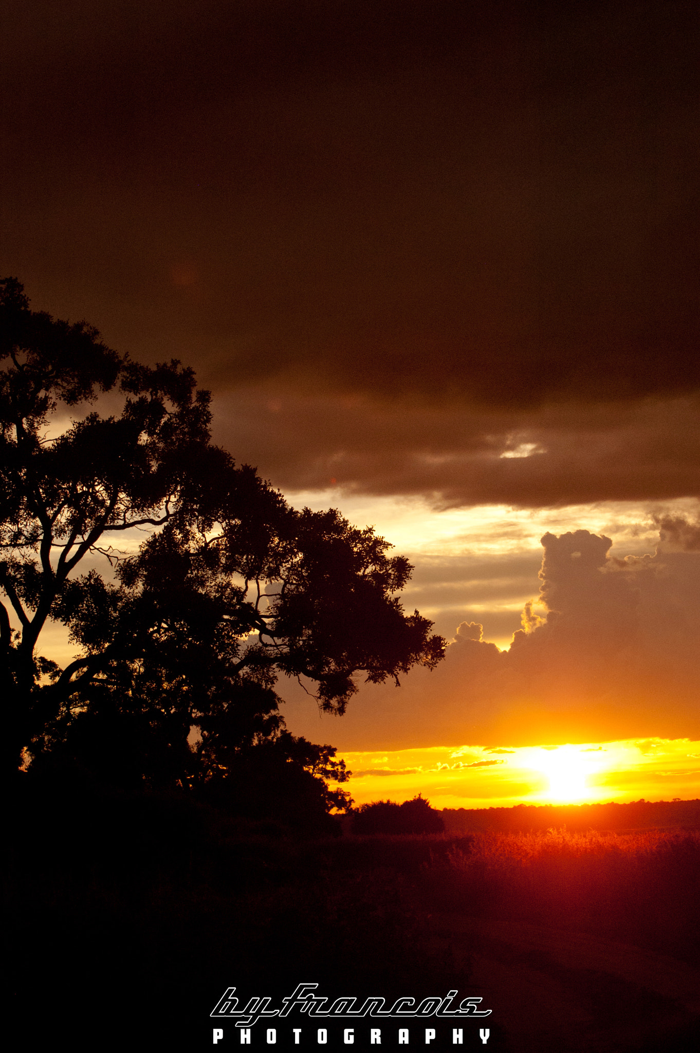 Nikon D40 sample photo. Sunset over the chobe river in botswana photography