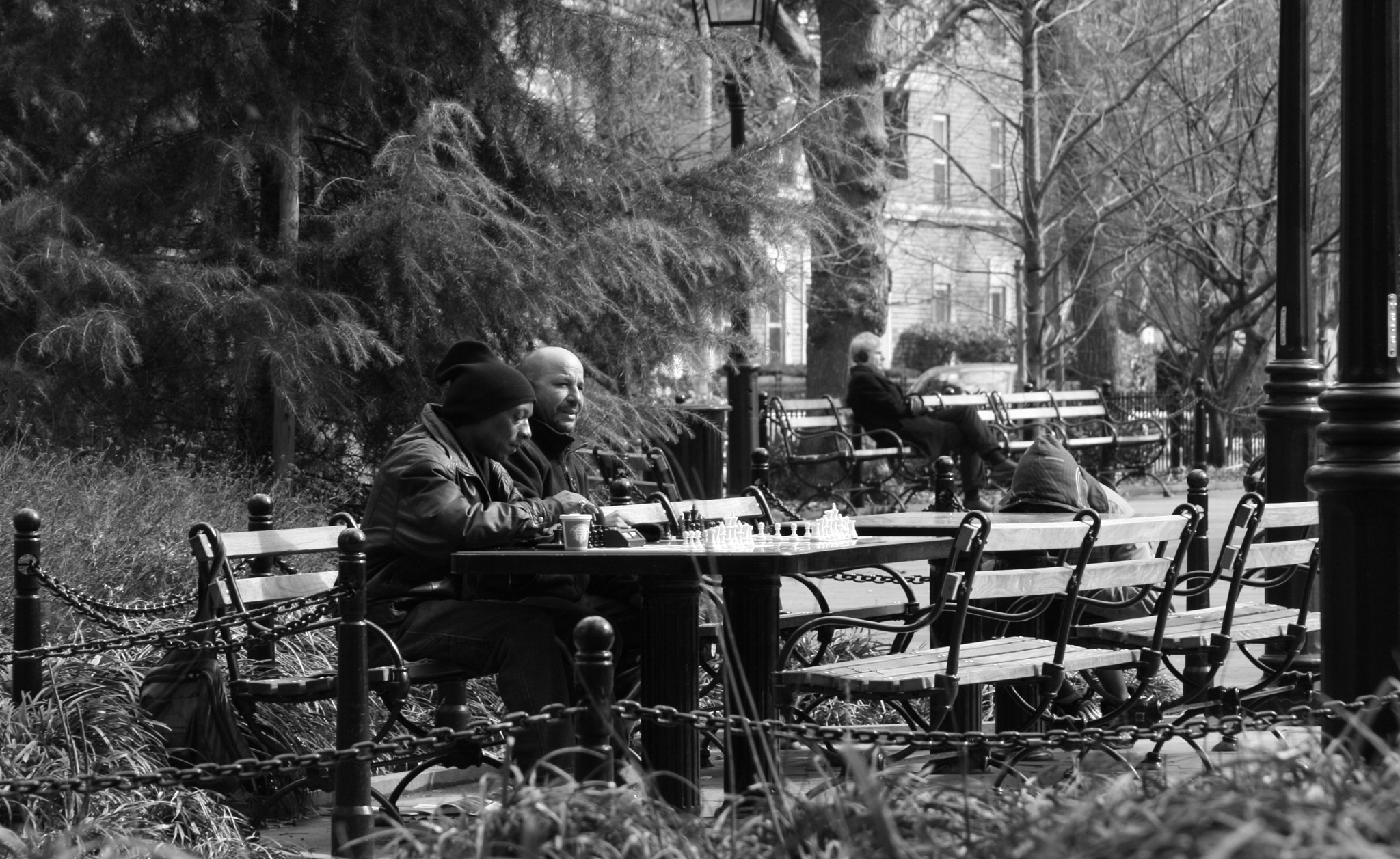 Canon EOS 400D (EOS Digital Rebel XTi / EOS Kiss Digital X) sample photo. Washington park, nyc 2012 photography