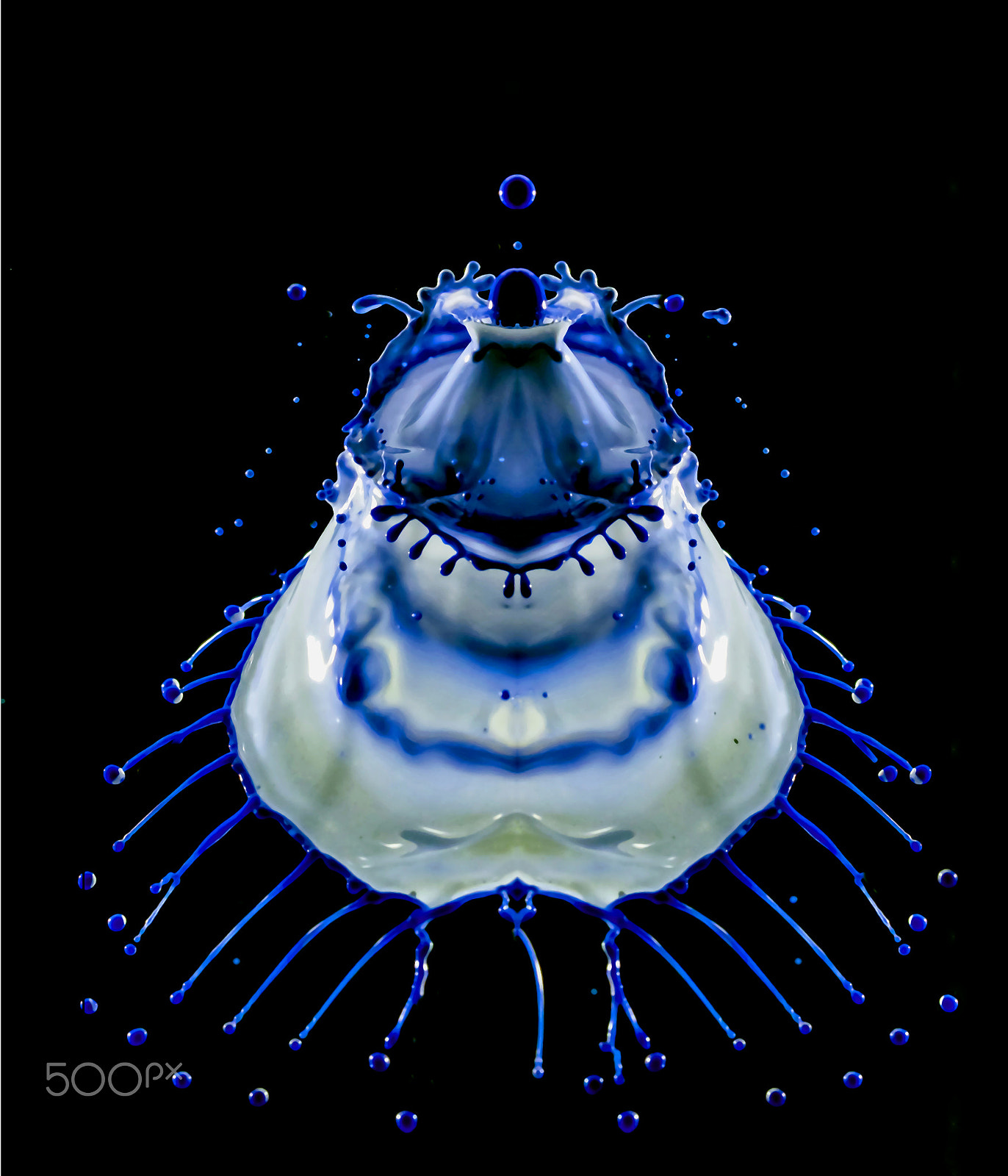 Canon EF 100mm F2.8 Macro USM sample photo. Bluebell photography