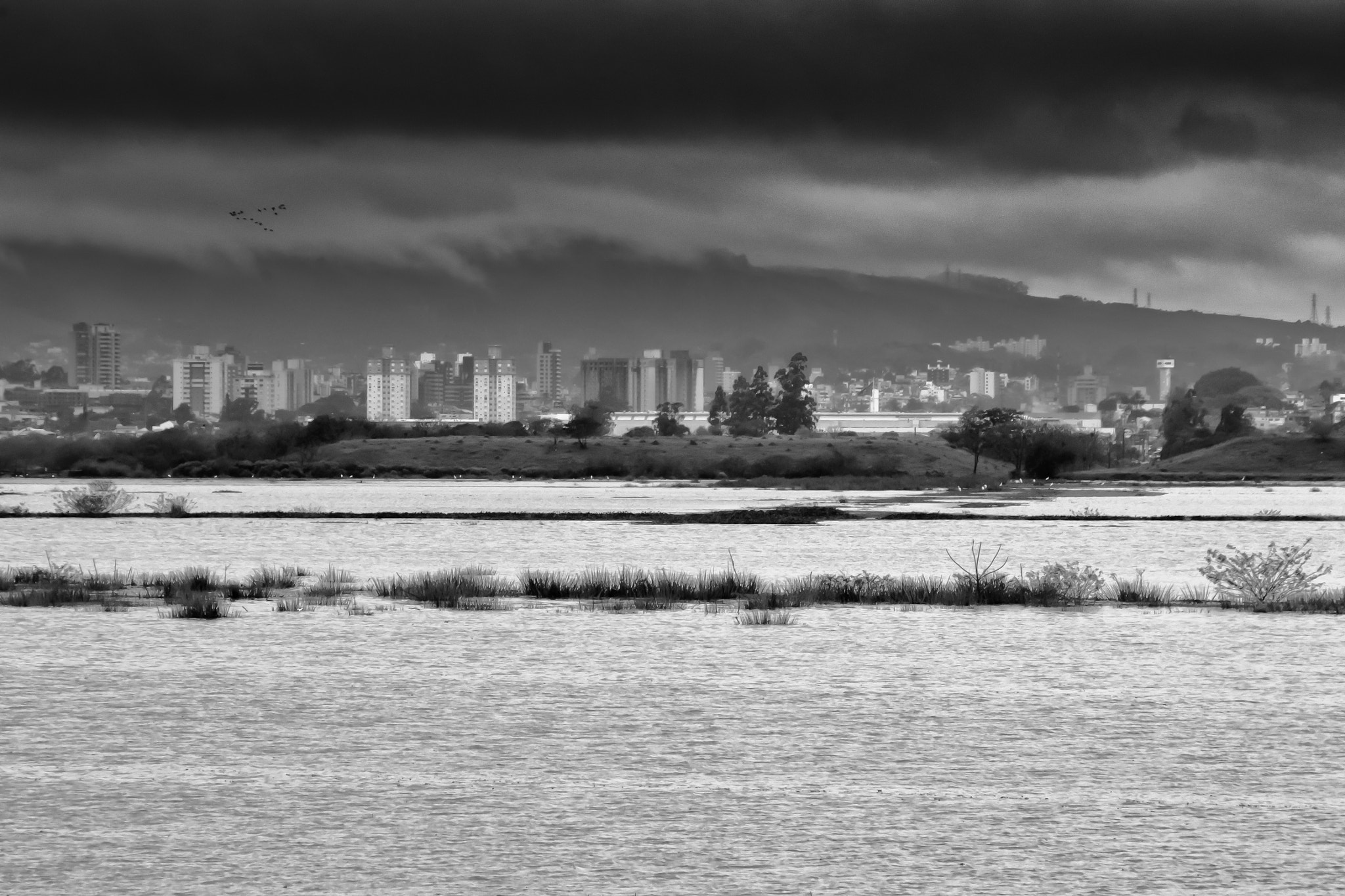 Sigma 18-250mm F3.5-6.3 DC OS HSM sample photo. Flood 1 photography