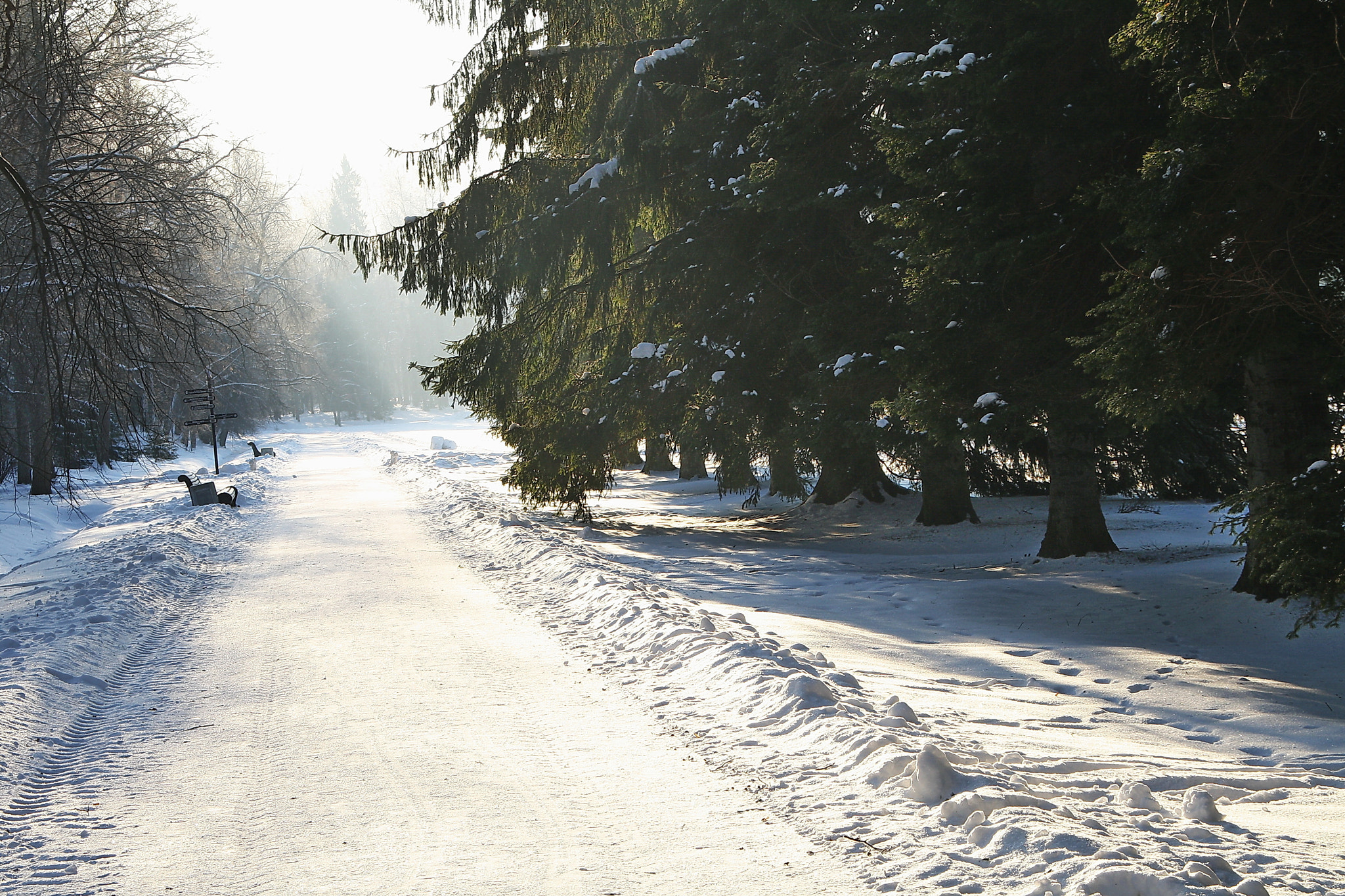 Sigma 18-125mm F3.8-5.6 DC OS HSM sample photo. Cold day photography