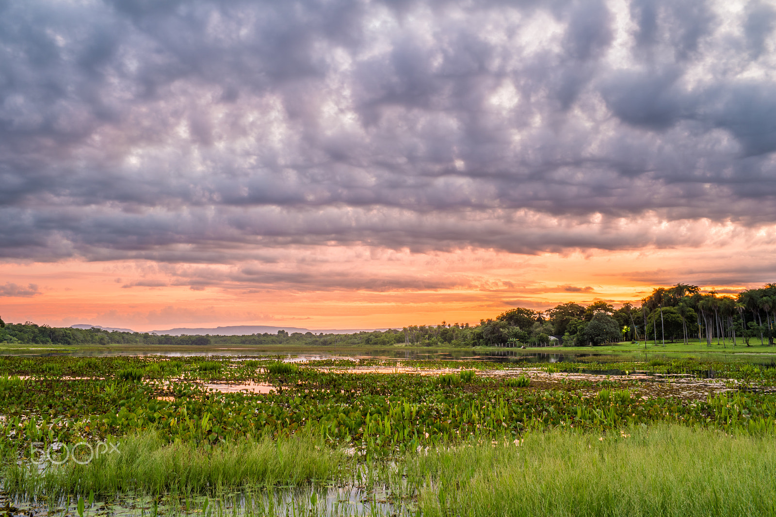 Samsung NX 20mm F2.8 Pancake sample photo. Lagoa comprida, aquidauana photography