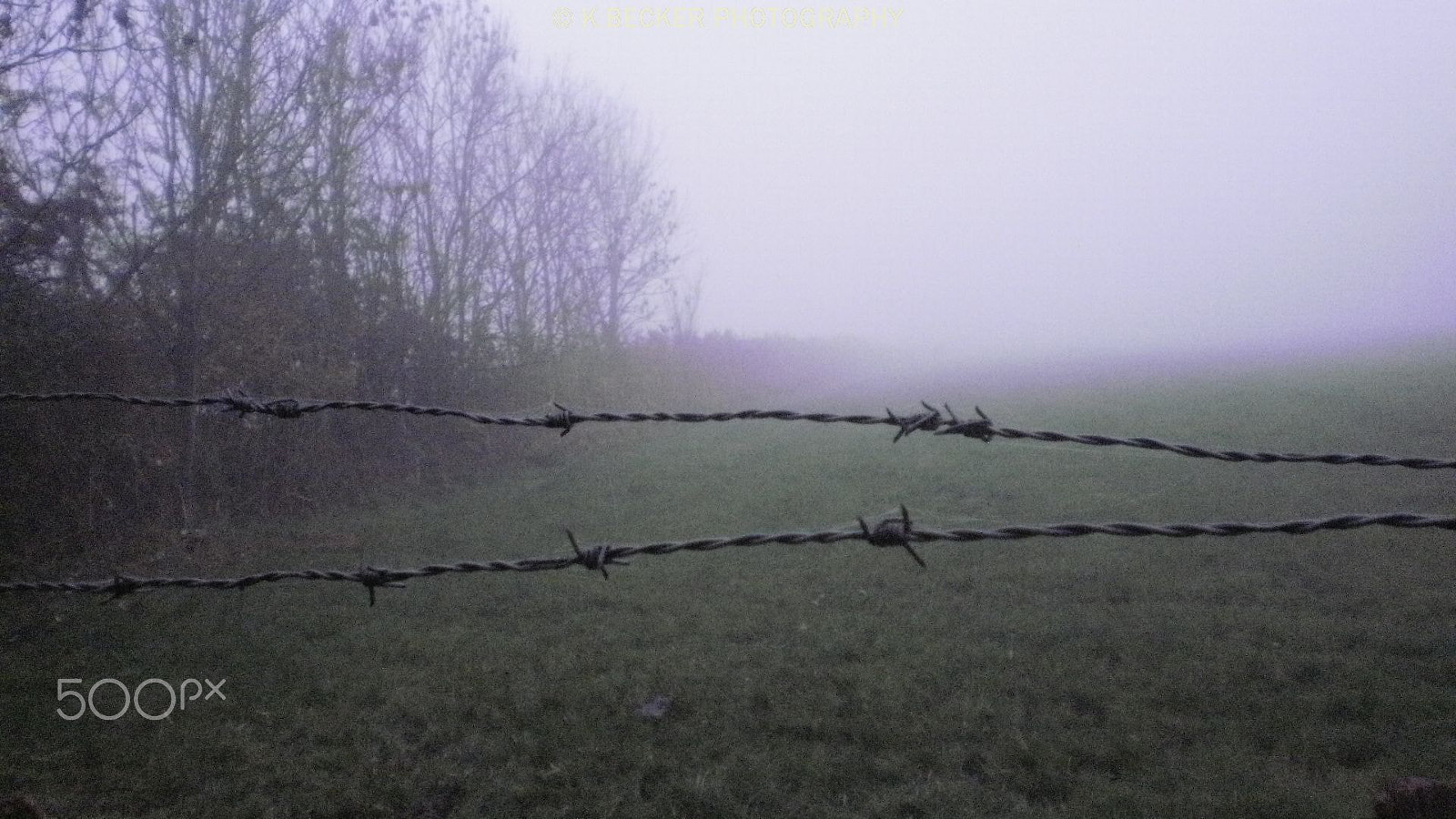Olympus FE26,X21 sample photo. Nebel photography