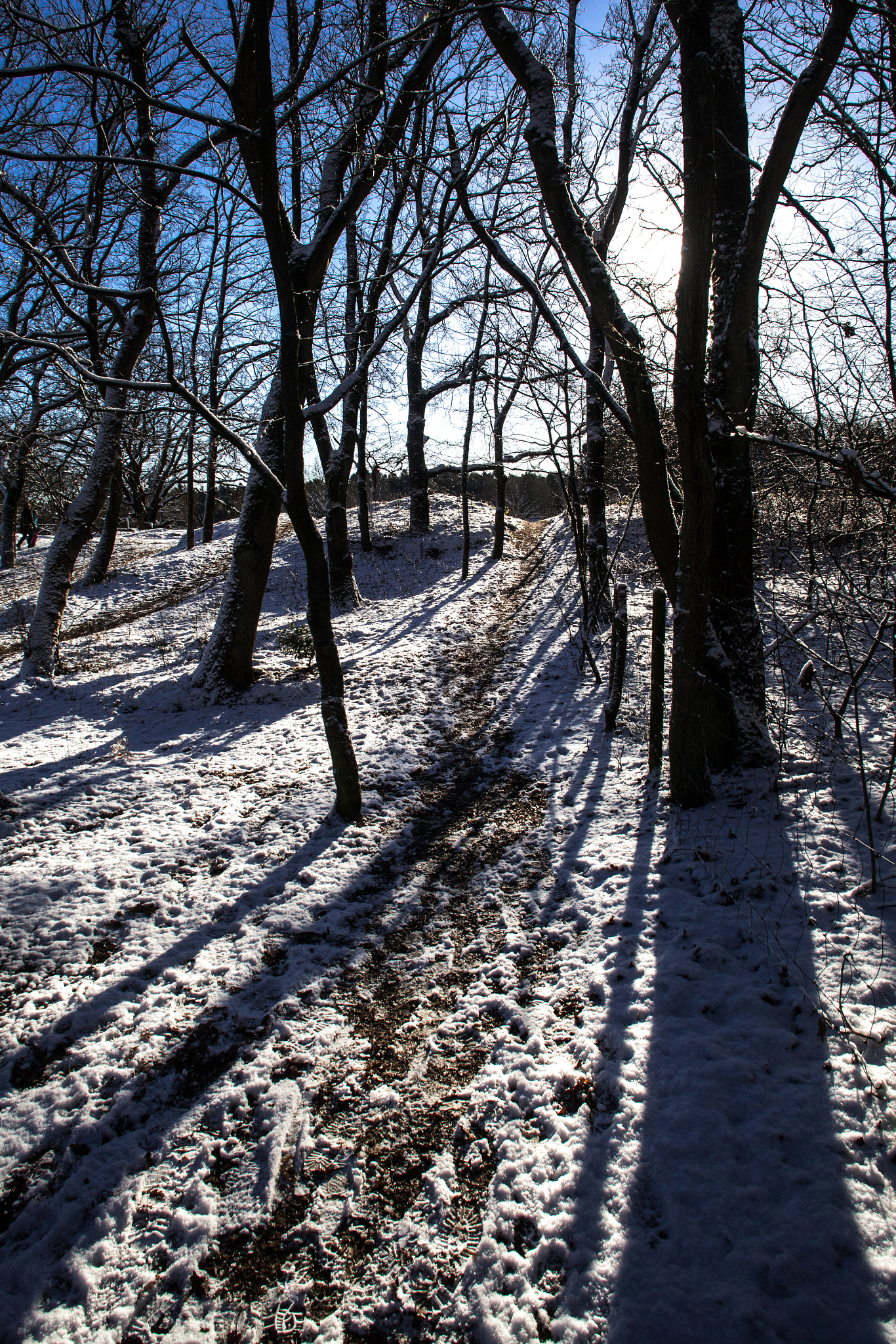 Canon EF 20-35mm F3.5-4.5 USM sample photo. Winter wonderland photography