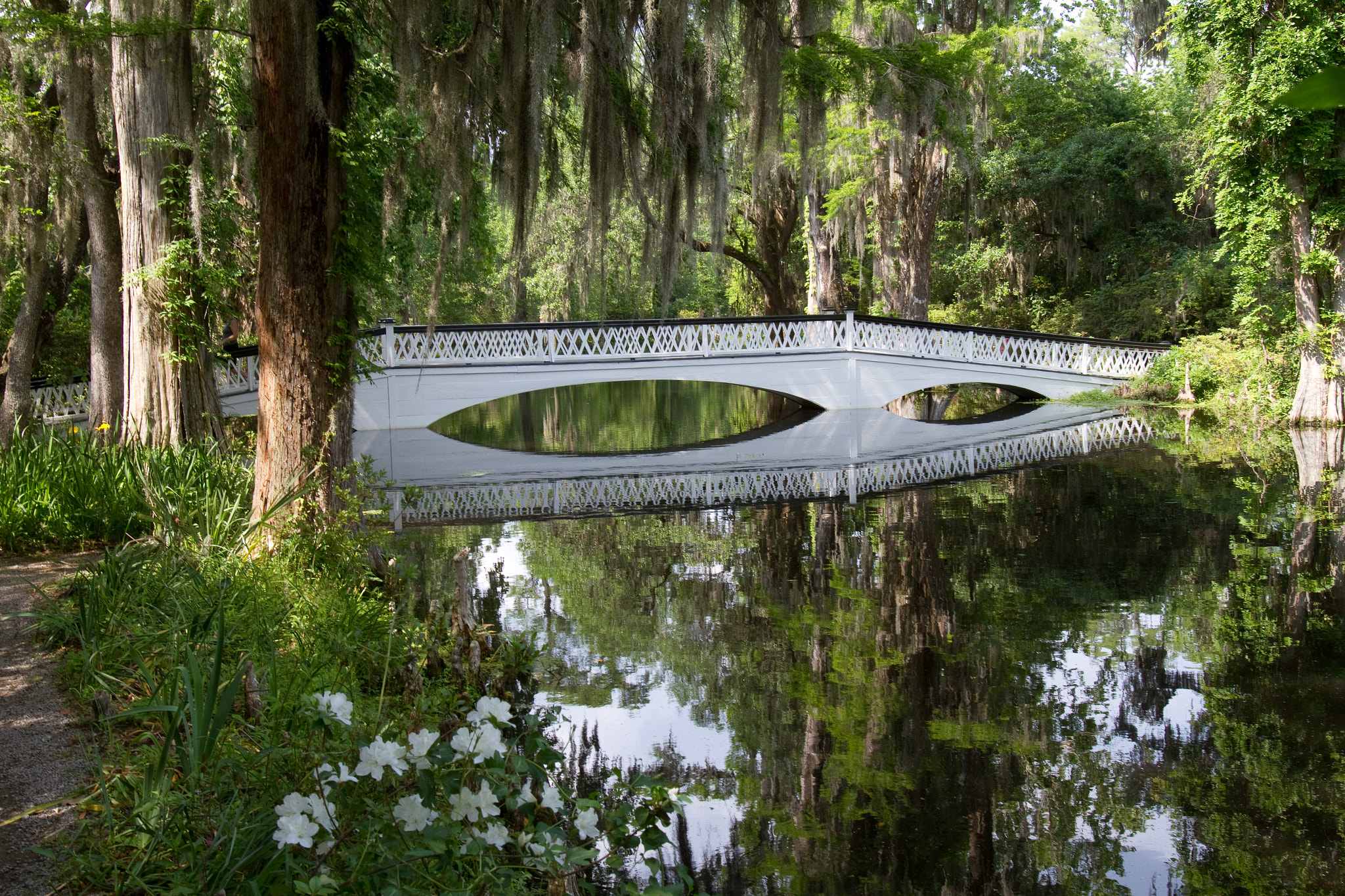 Canon EOS 7D + Canon EF 16-35mm F2.8L USM sample photo. Tranquility bridge reflection photography