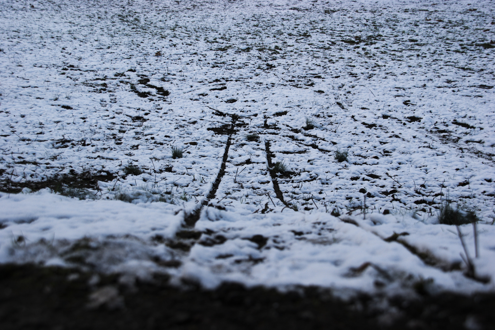 Sony Alpha DSLR-A350 + Sigma DC 18-125mm F4-5,6 D sample photo. Lost in snow.... photography