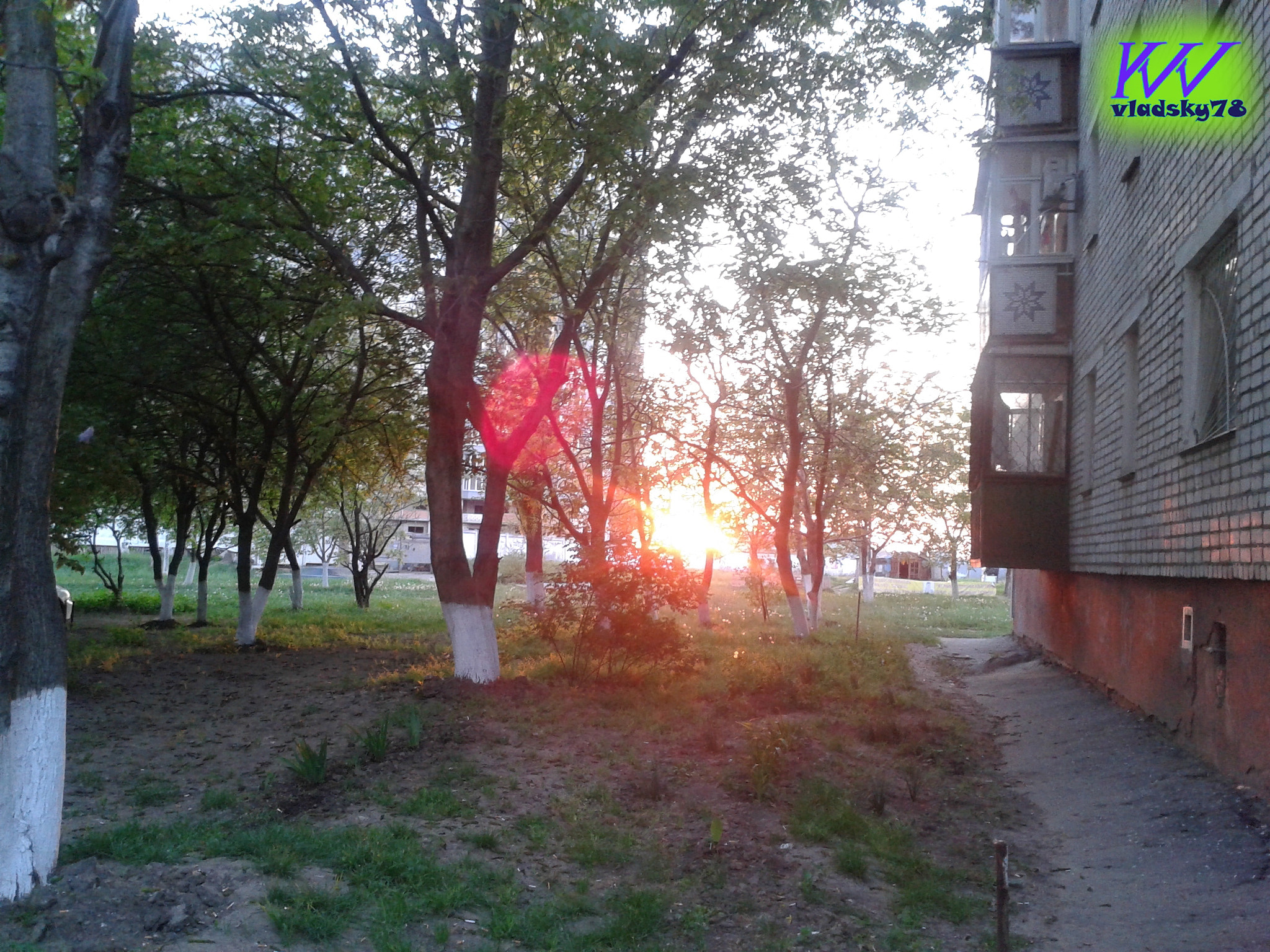 Samsung Galaxy S DUOS sample photo. () photography