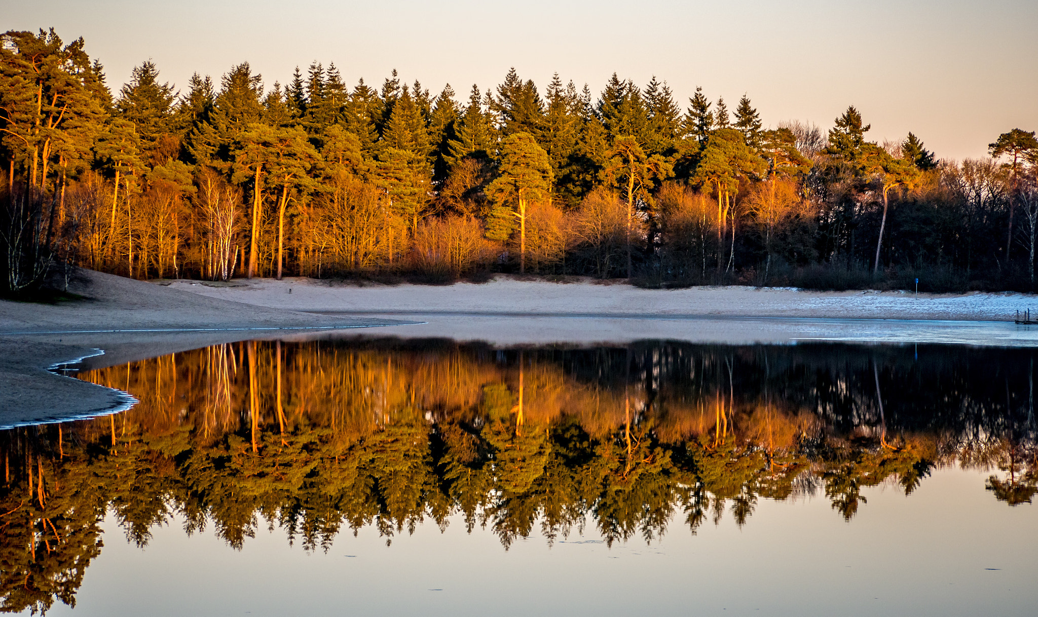 Panasonic Lumix G Vario 45-200mm F4-5.6 OIS sample photo. Henschotermeer photography