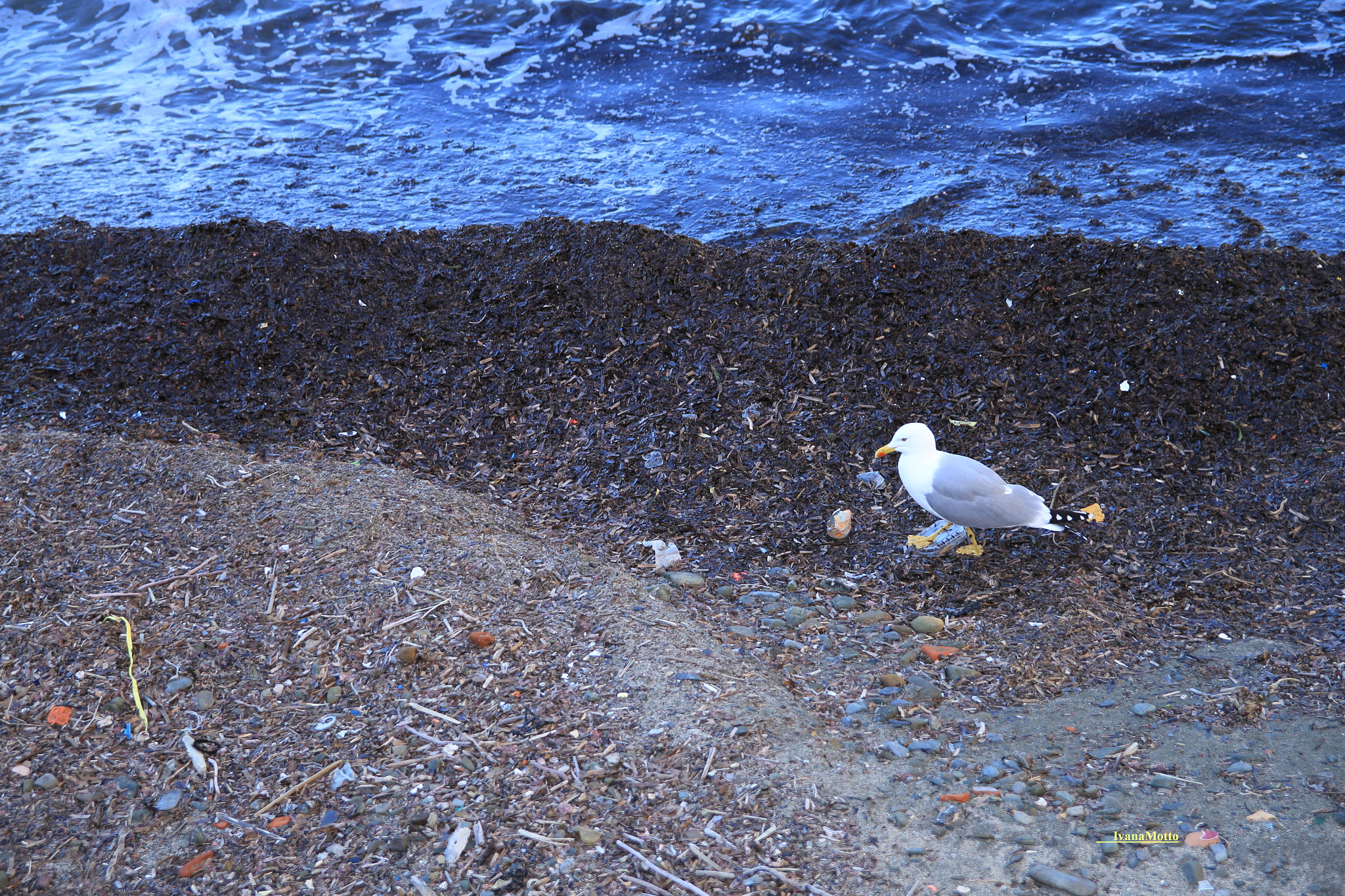 Canon 17-50mm sample photo. Terre monterosso vernazza corniglia manarola photography