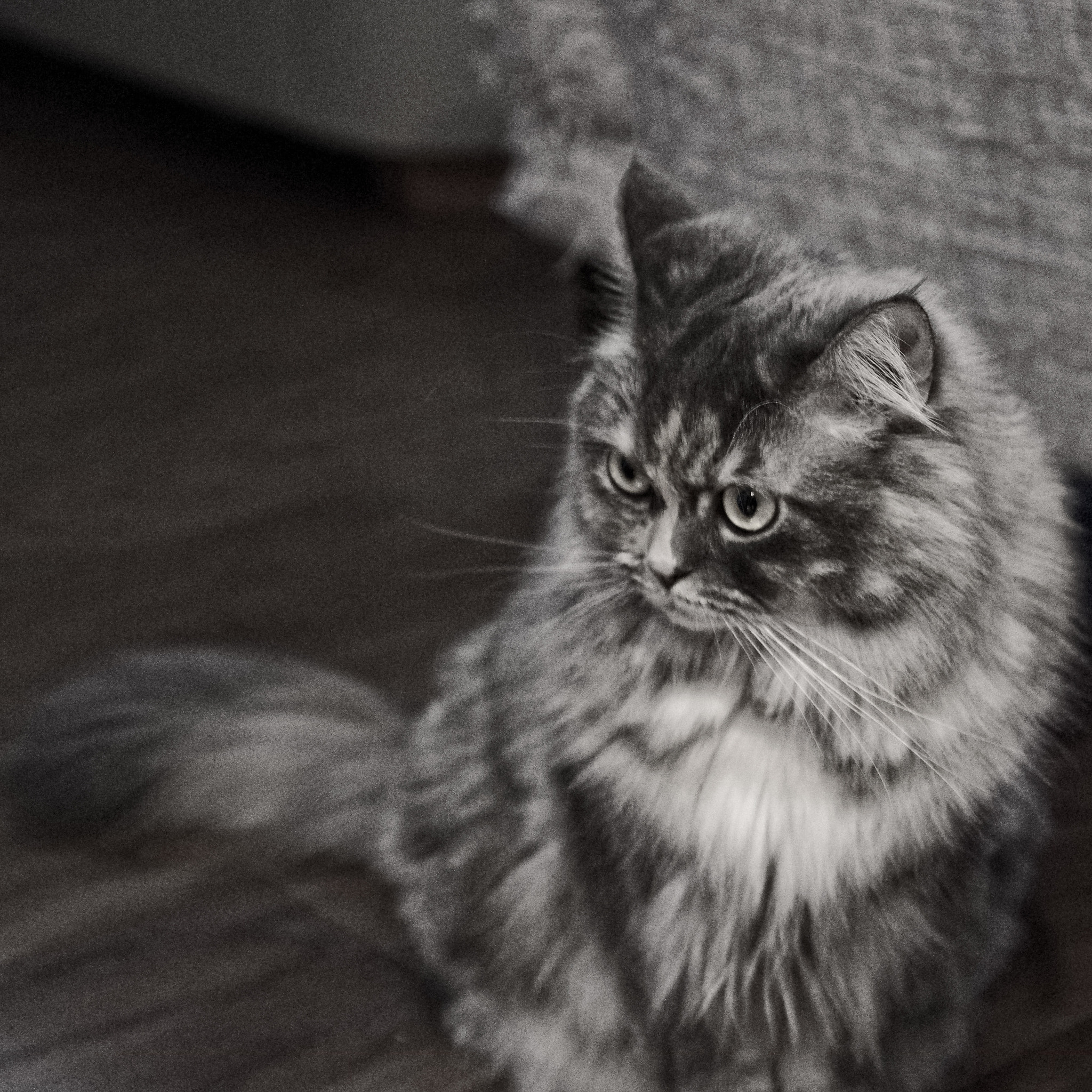 Sigma 17-50mm F2.8 EX DC HSM sample photo. Sora photography