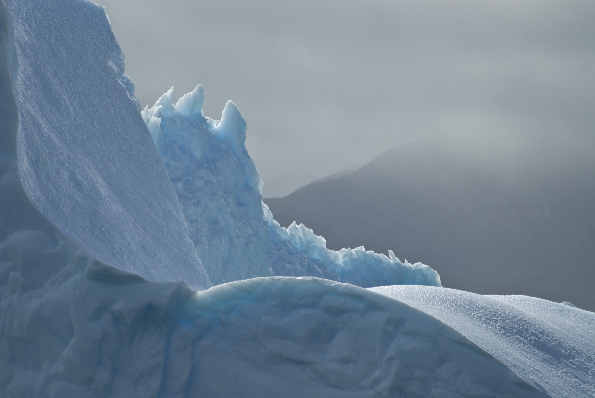 Nikon D200 sample photo. Iceberg photography
