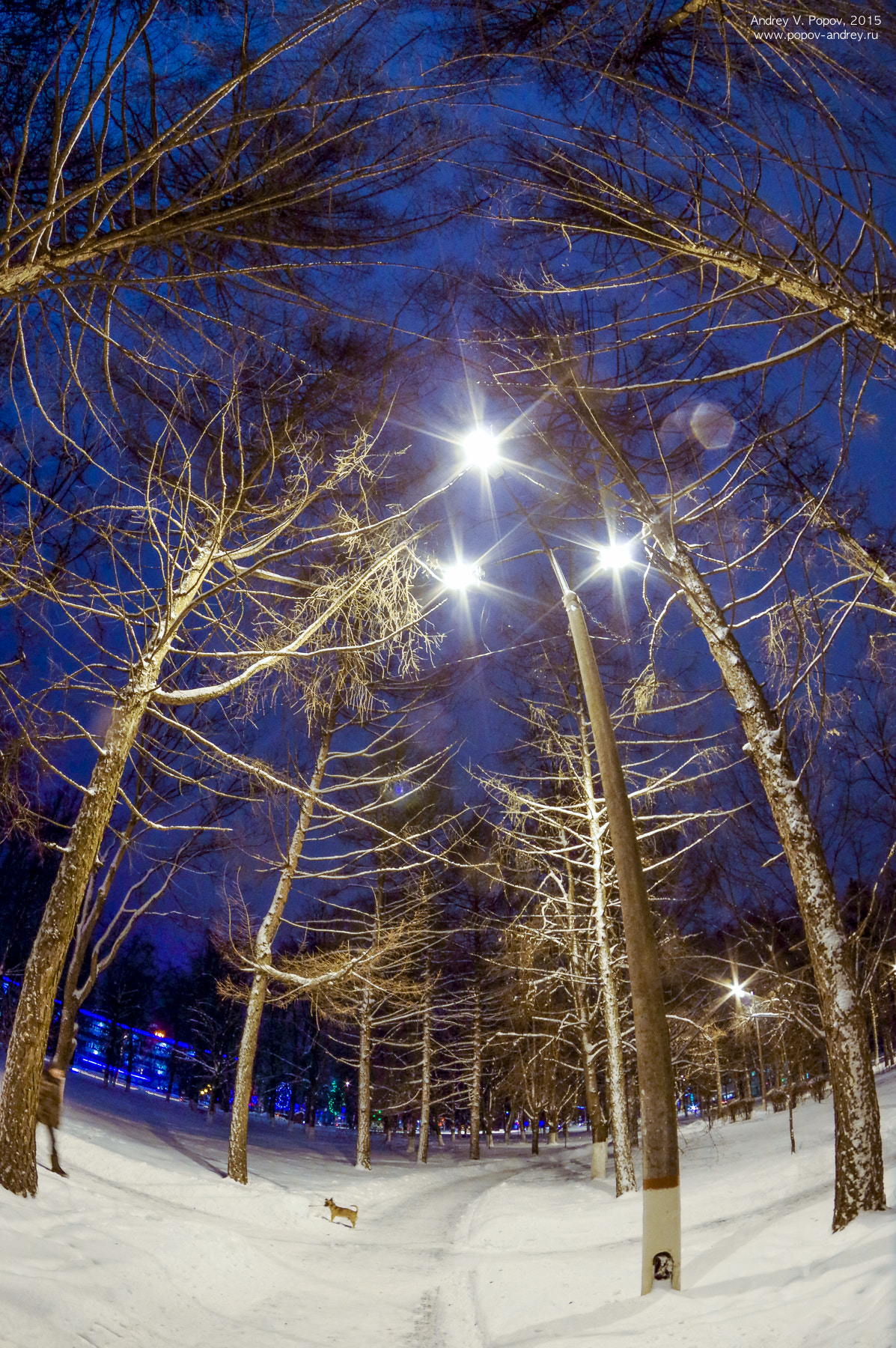 Pentax K-3 sample photo. *** photography