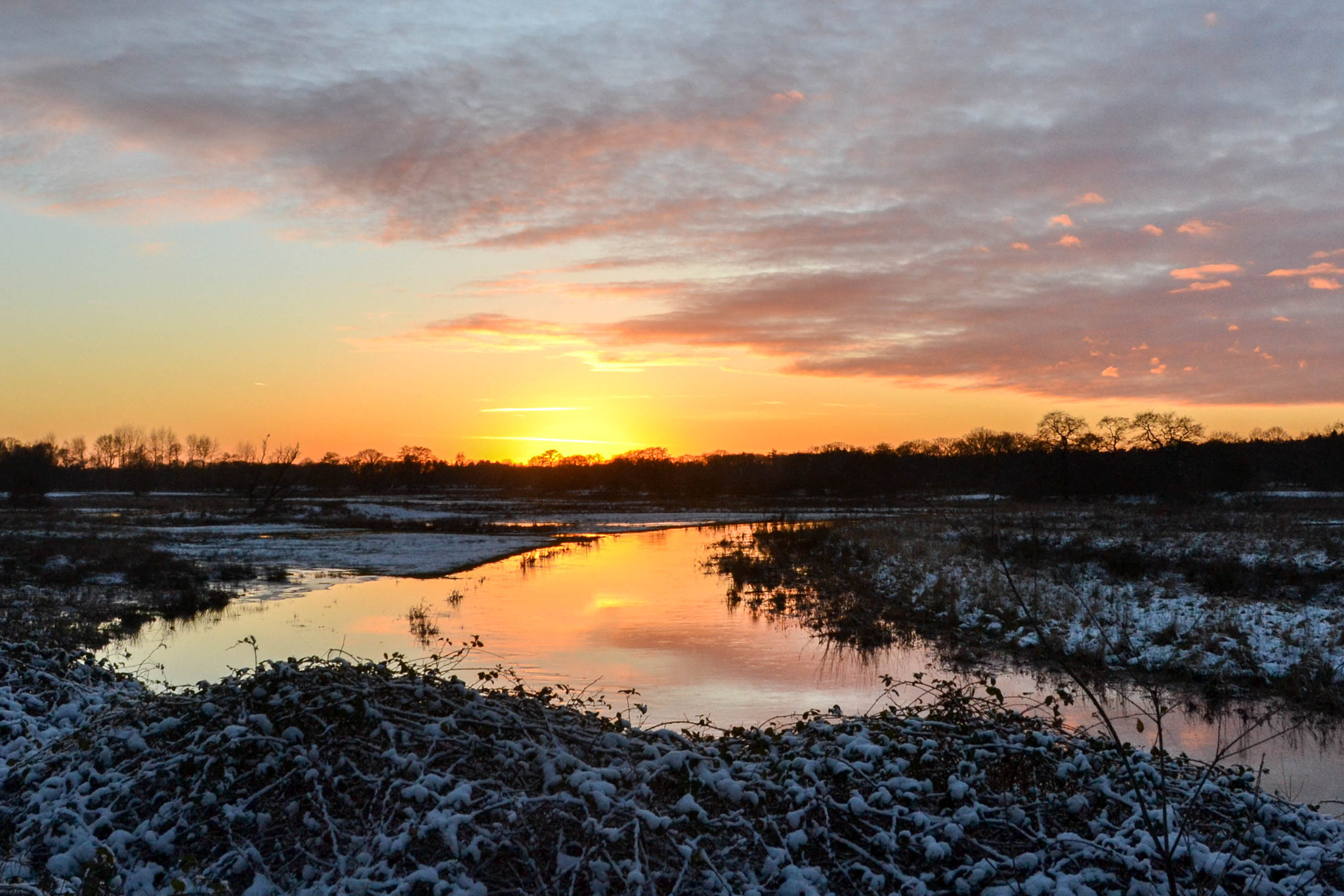 Nikon D3100 + Sigma 18-200mm F3.5-6.3 DC sample photo. Floodplain of drentsche aa photography