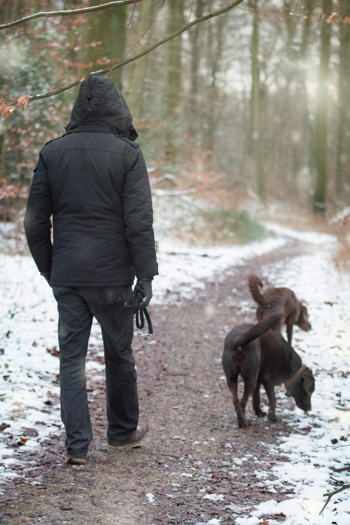 Canon EOS 650D (EOS Rebel T4i / EOS Kiss X6i) sample photo. First snow photography