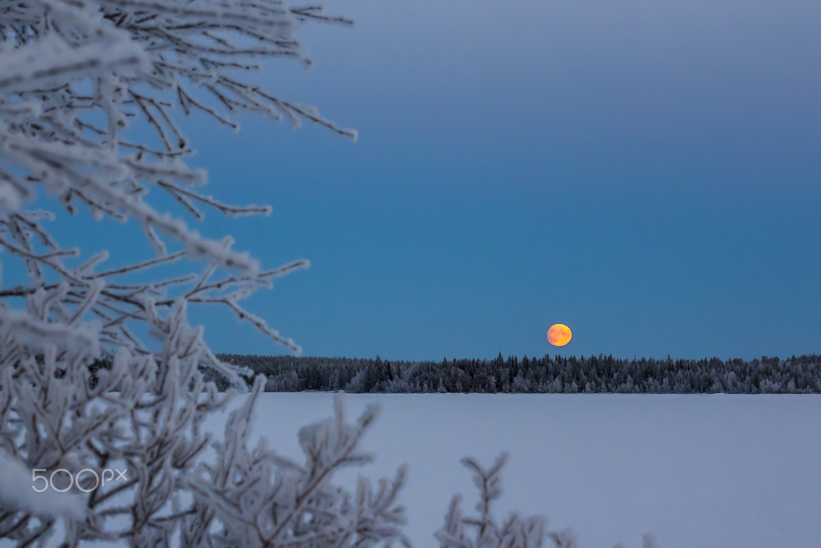 Tamron SP 35mm F1.8 Di VC USD sample photo. Golden moon rising photography