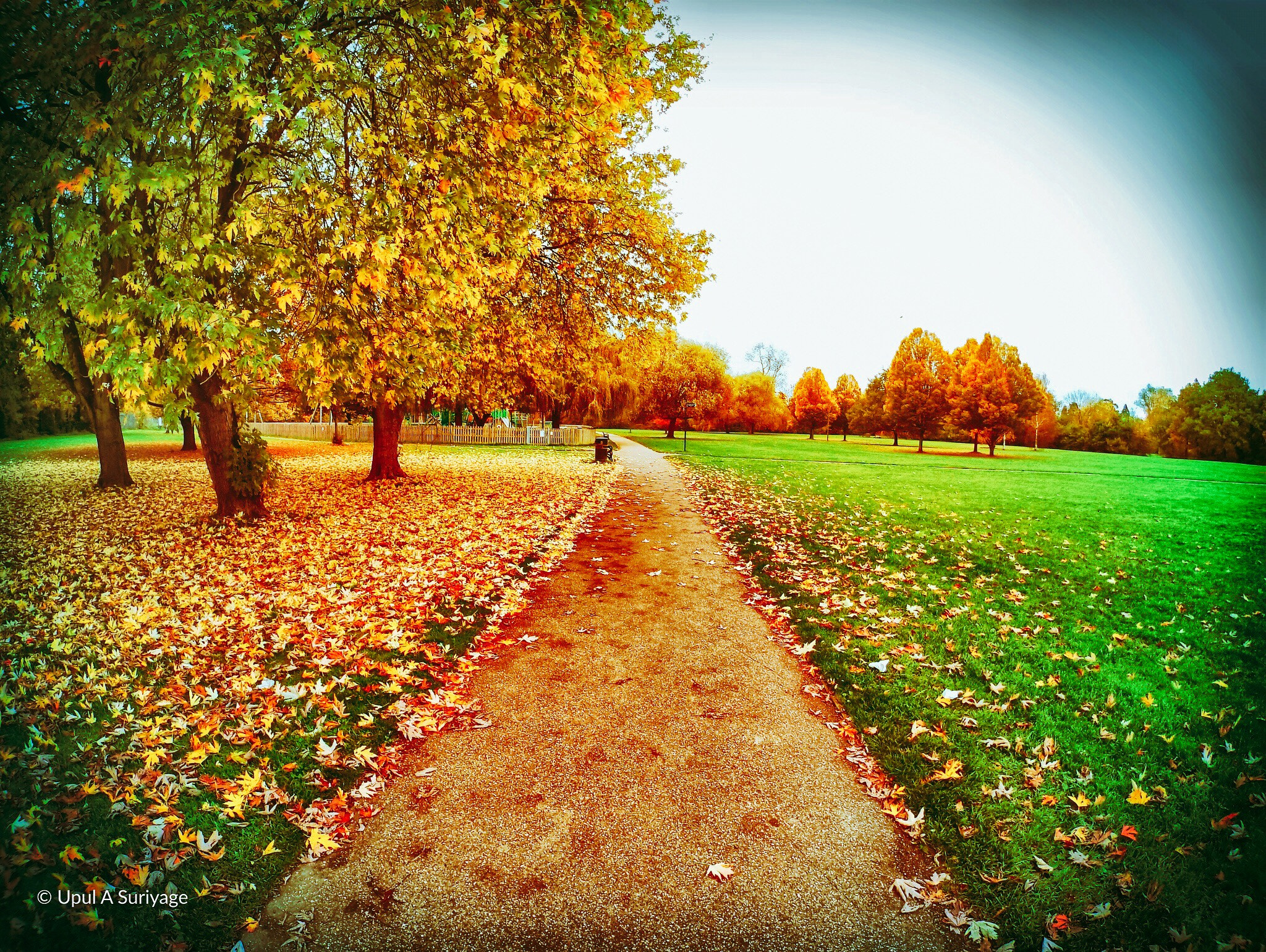 HTC RE sample photo. Autumn photography