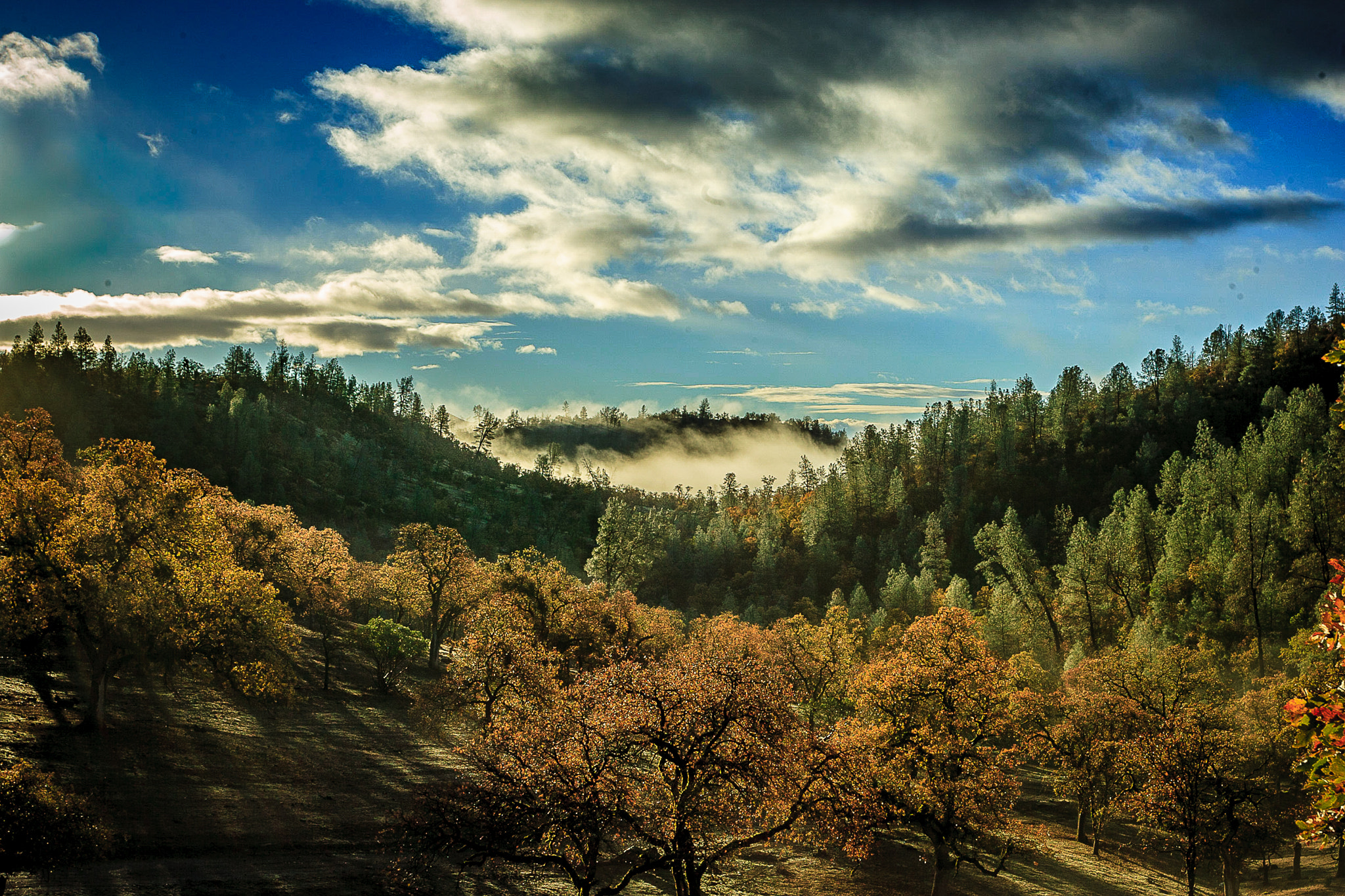 Canon EOS-1D Mark II sample photo. Morning sunrise photography