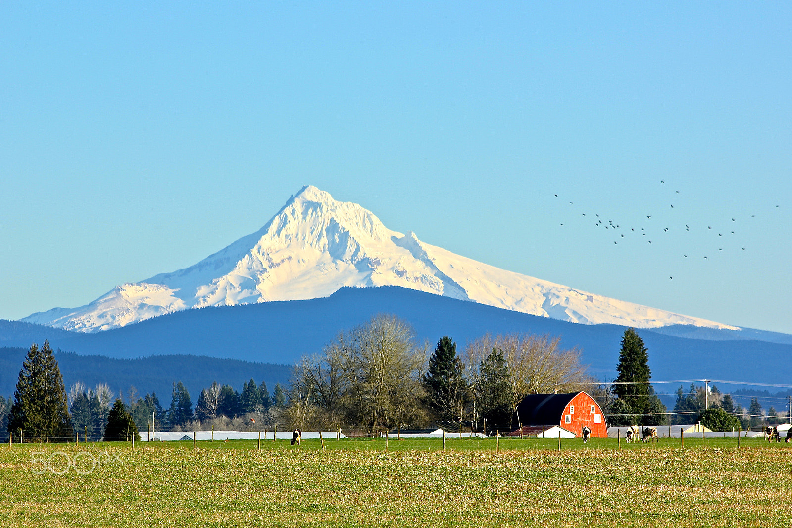 Canon EF 70-300mm F4-5.6 IS USM sample photo. Mt. hood photography