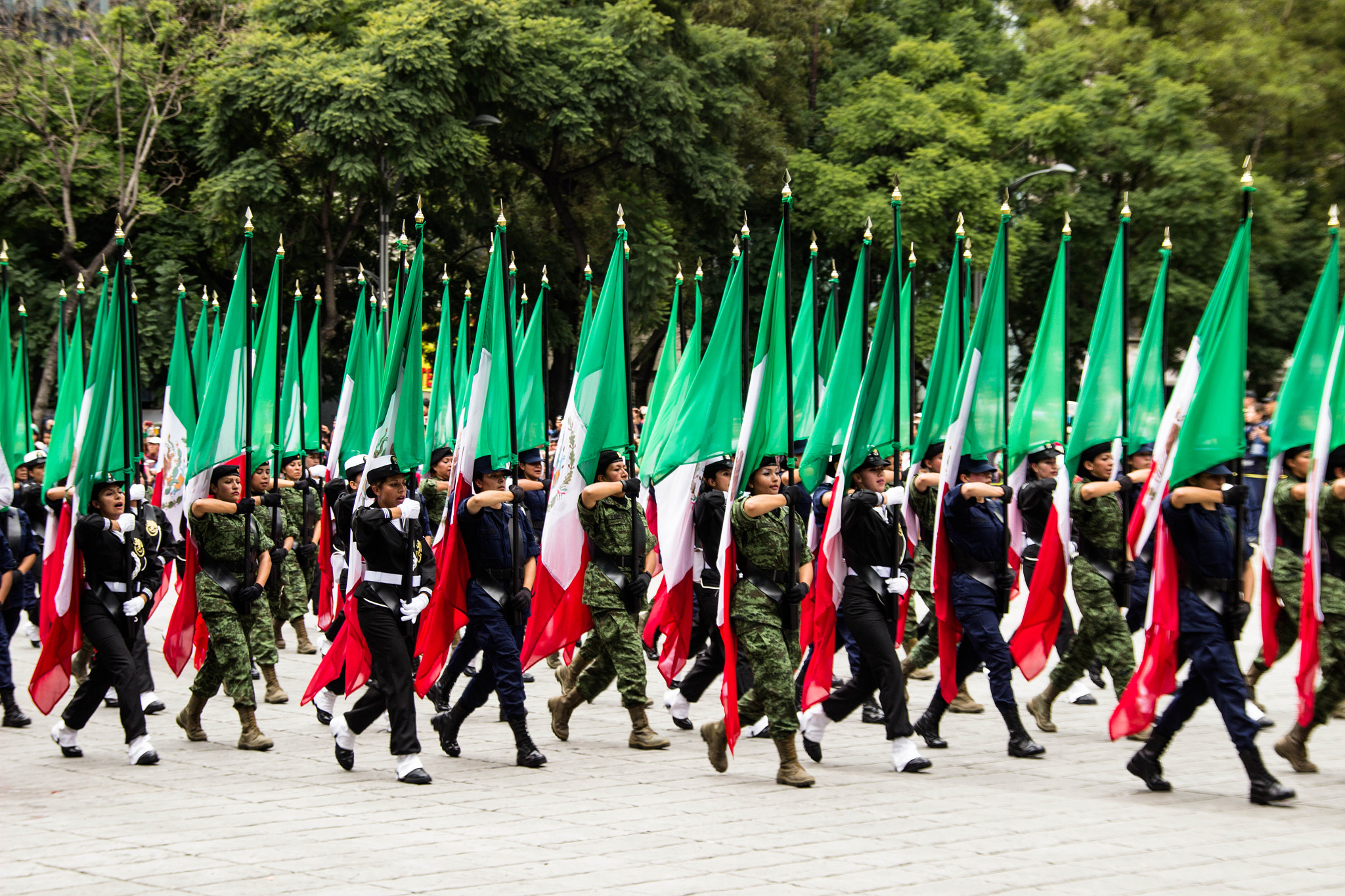 Sigma 18-200mm f/3.5-6.3 DC OS sample photo. Marcha méxico photography