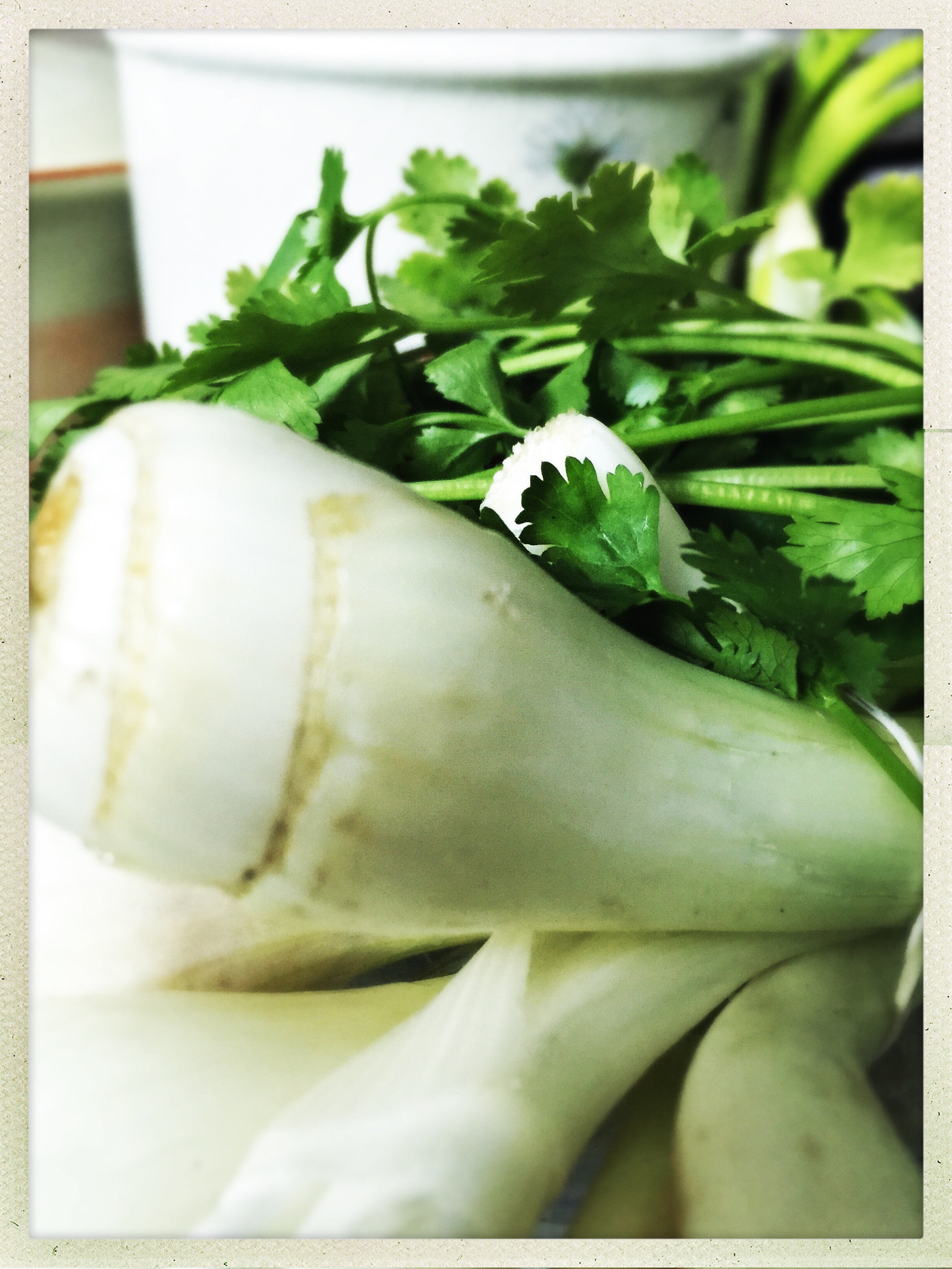 Hipstamatic 305 sample photo. Coriander and green onions photography