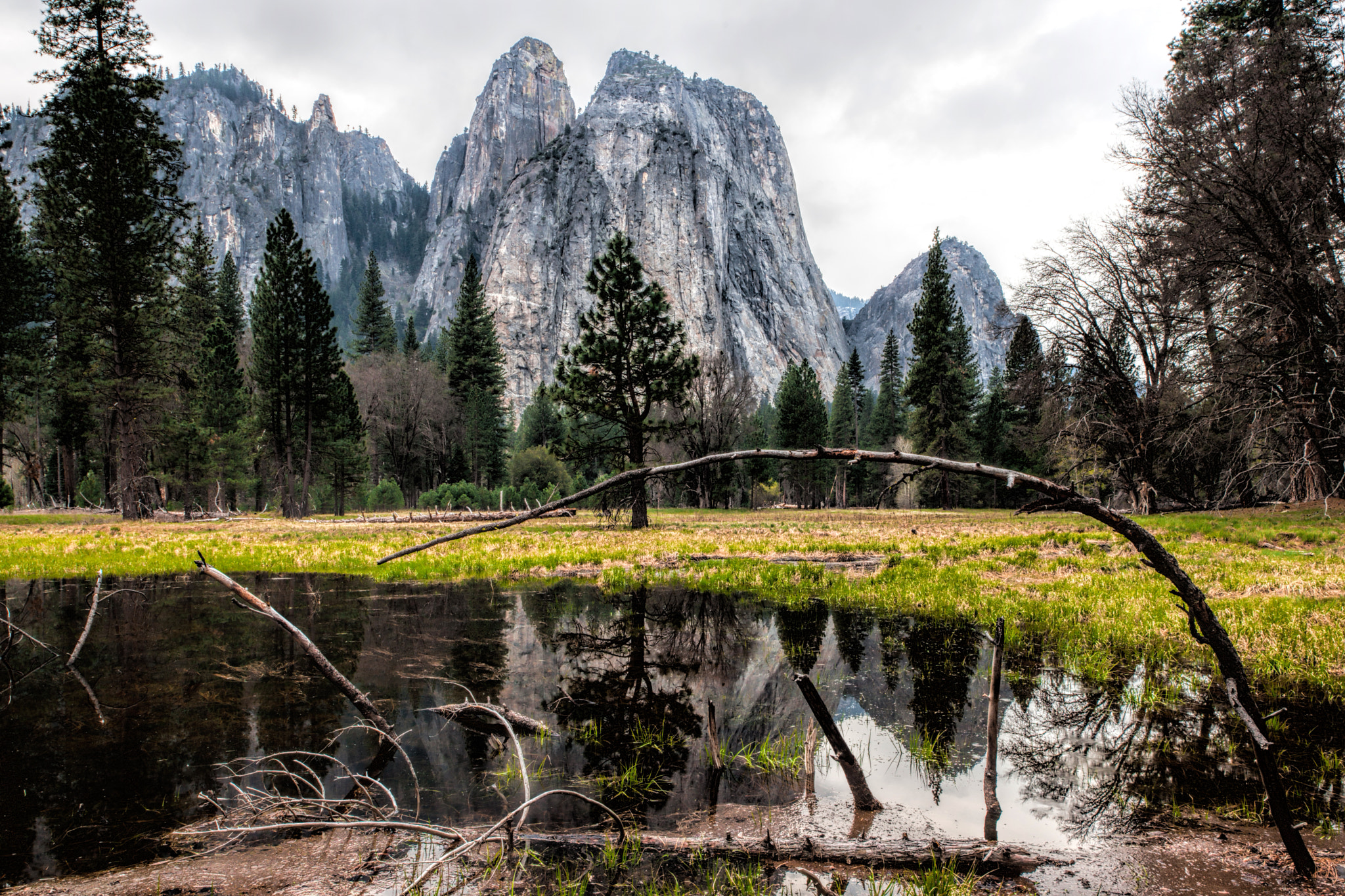 Canon EOS-1Ds Mark III + Canon EF-S 18-55mm F3.5-5.6 III sample photo. Сloudy day in yosemite photography