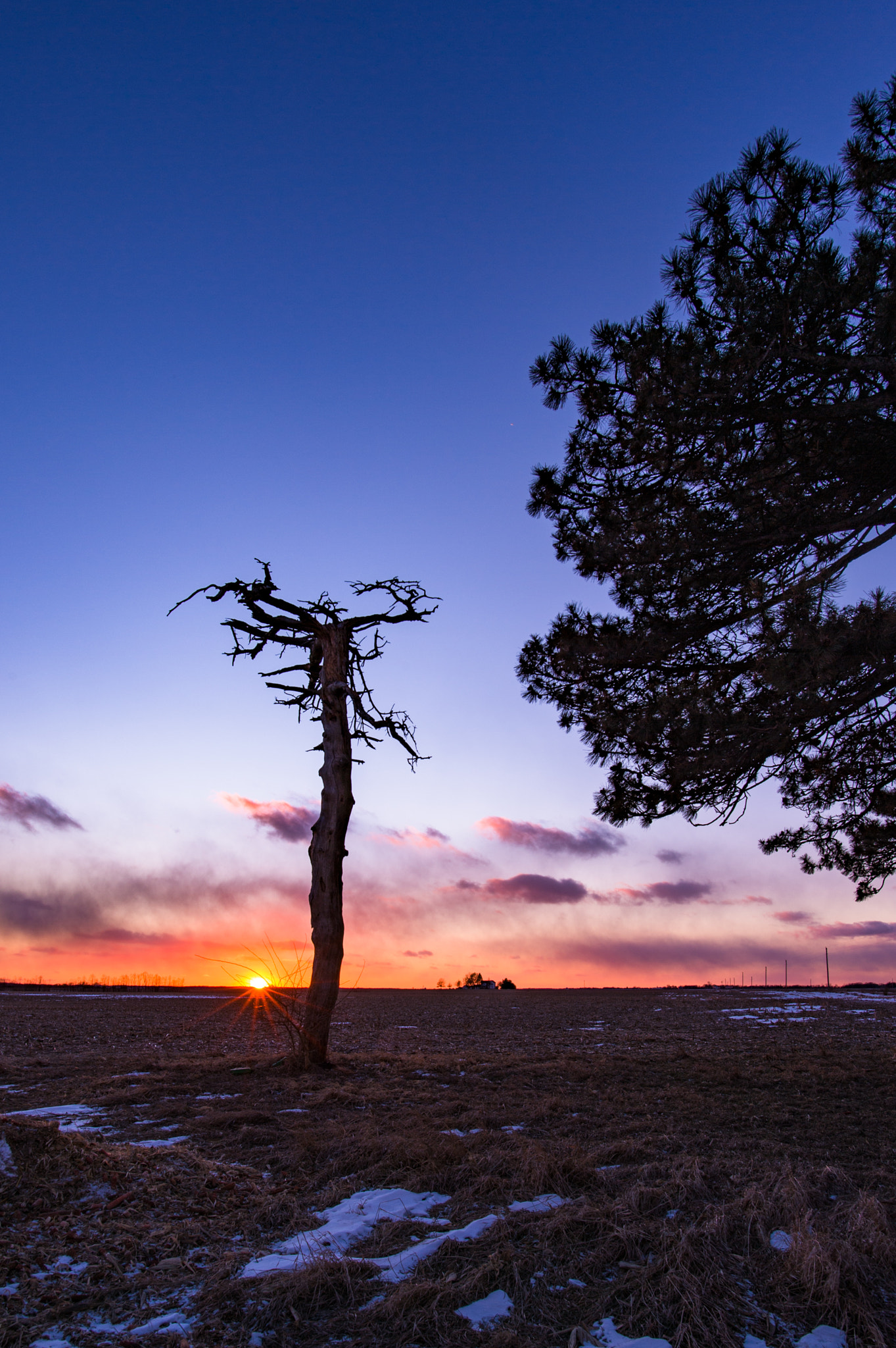 Nikon Df + Nikon AF-S Nikkor 20mm F1.8G ED sample photo. Sunset photography