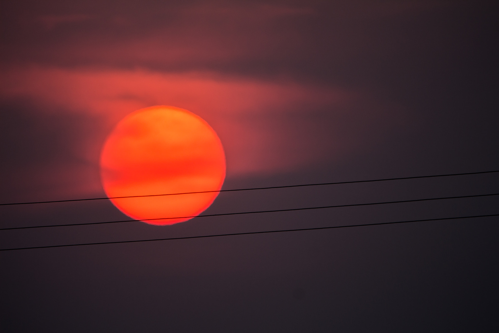 Canon EOS 650D (EOS Rebel T4i / EOS Kiss X6i) + Tamron SP 150-600mm F5-6.3 Di VC USD sample photo. Red sun photography
