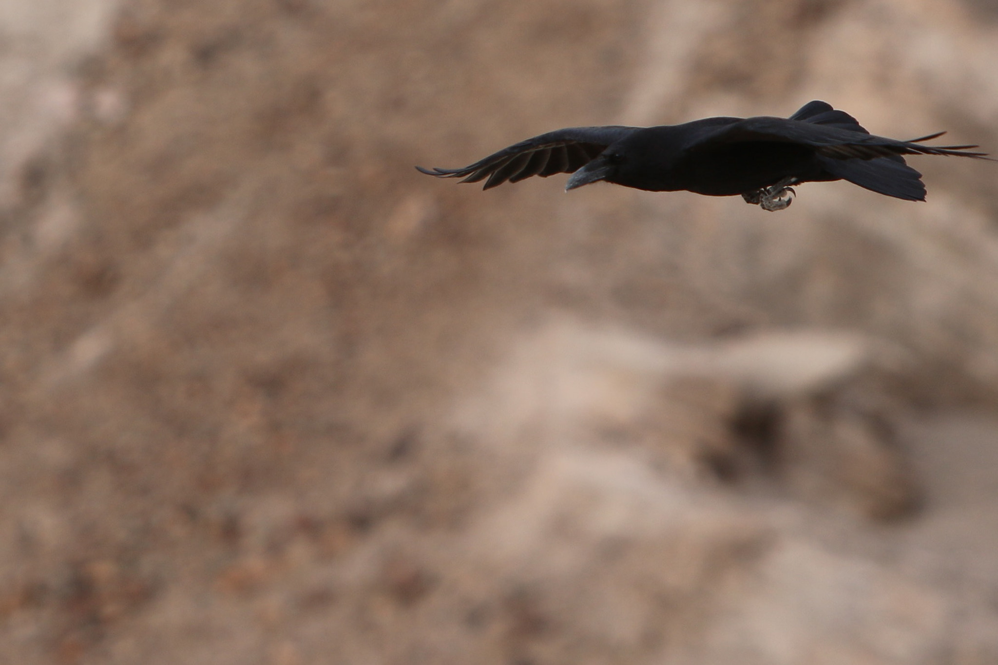 Canon EF 70-200mm F2.8L IS USM sample photo. Desert flight over the mountains photography