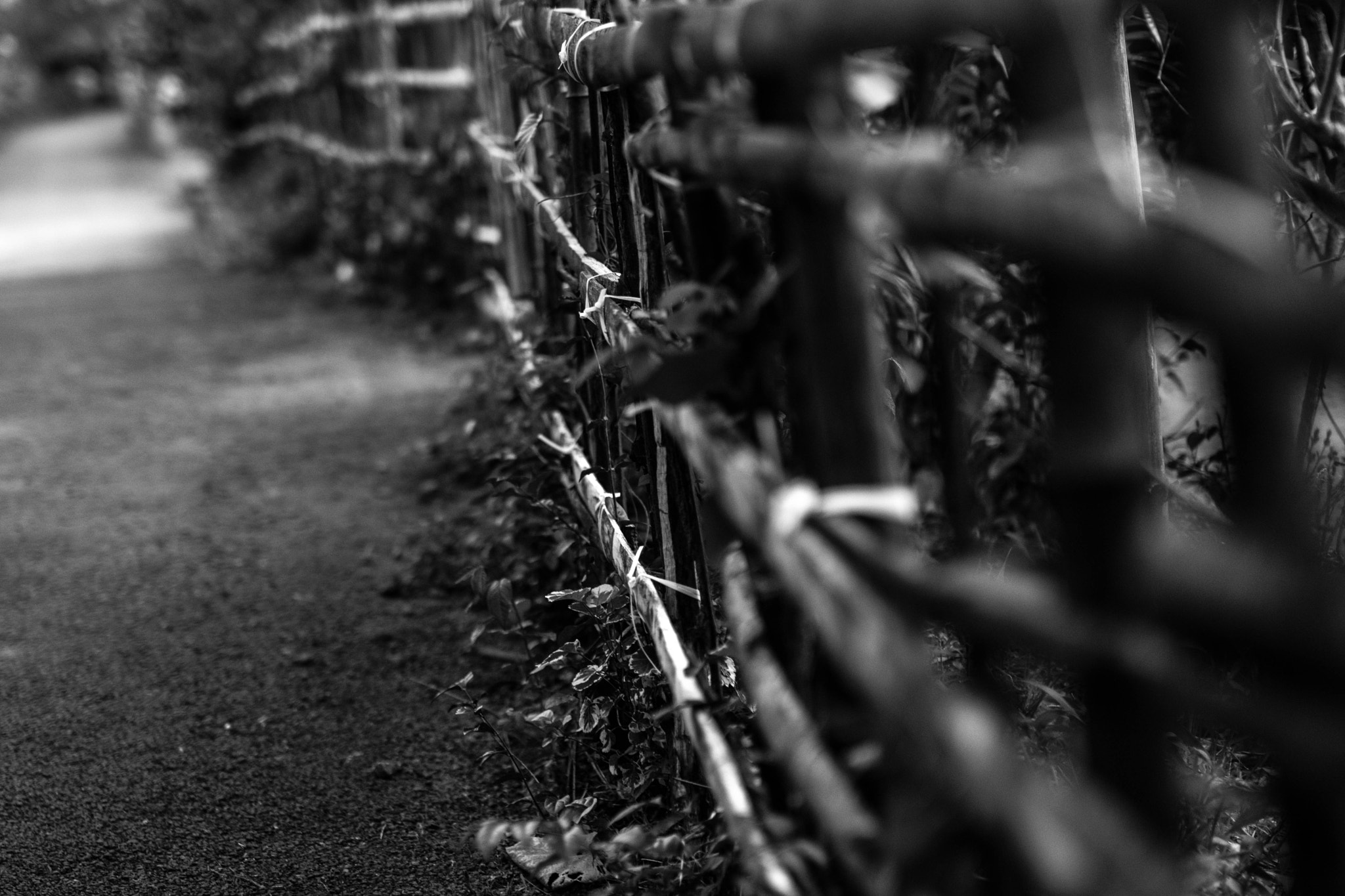 Nikon D5300 + Sigma 50mm F1.4 DG HSM Art sample photo. Fence photography