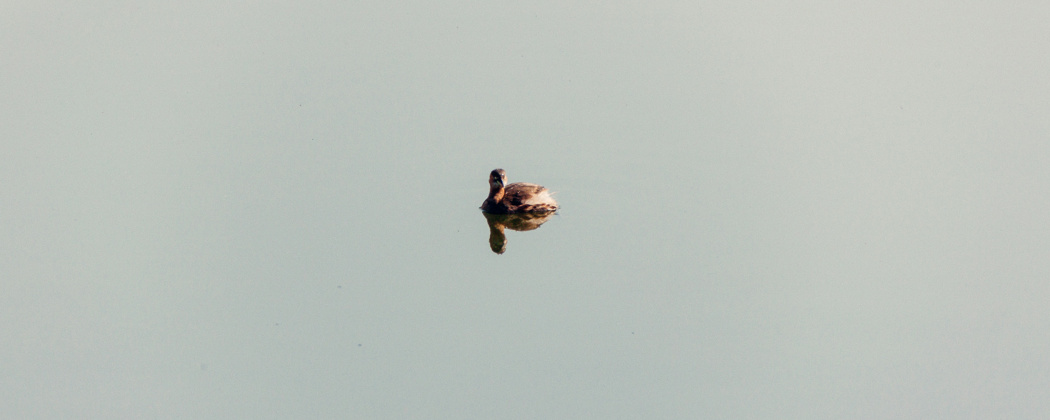 Sigma 18-250mm F3.5-6.3 DC OS HSM sample photo. Water photography