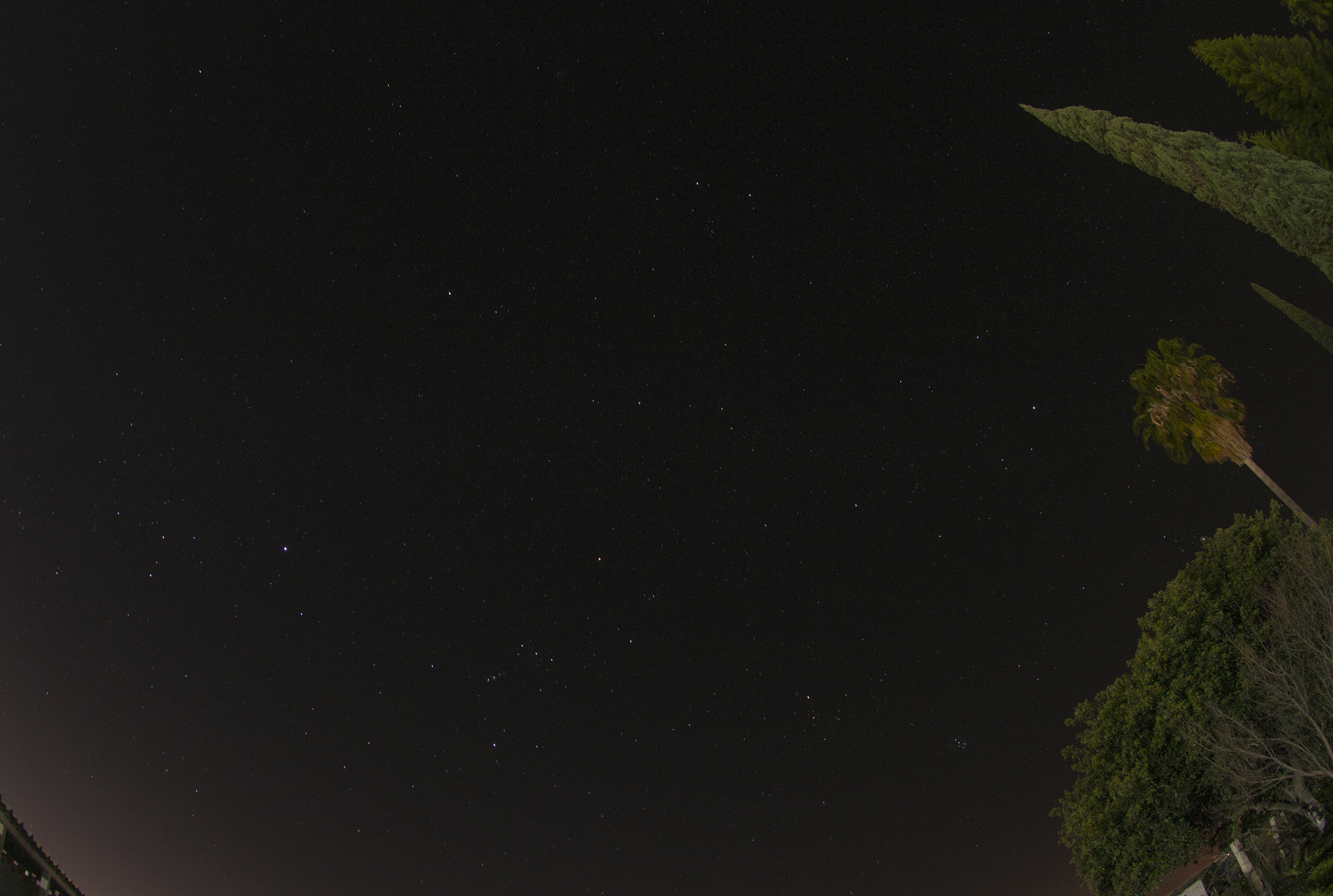 Nikon AF DX Fisheye-Nikkor 10.5mm F2.8G ED sample photo. Orion photography