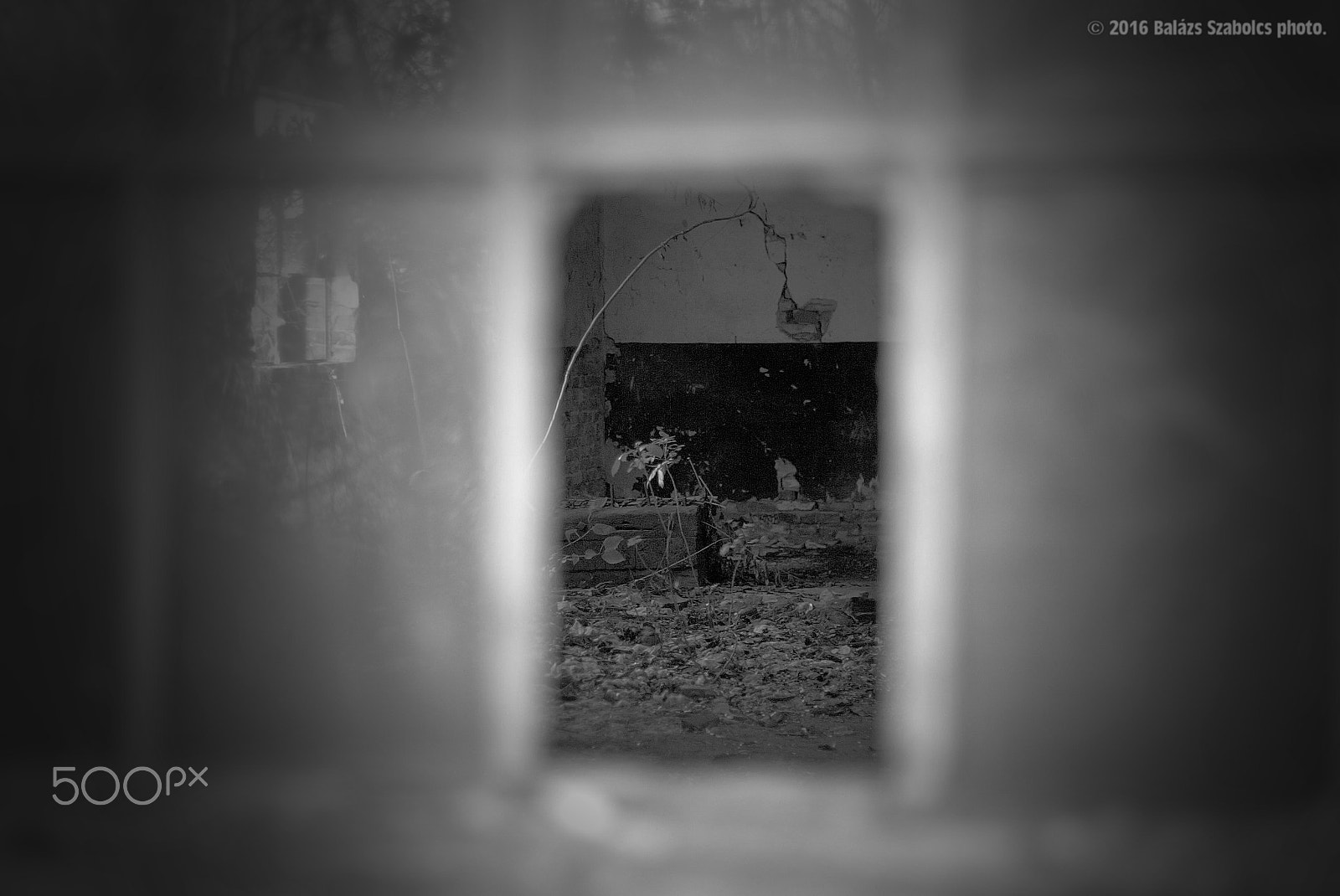 Canon EOS-1D sample photo. 640f5917.jpg photography