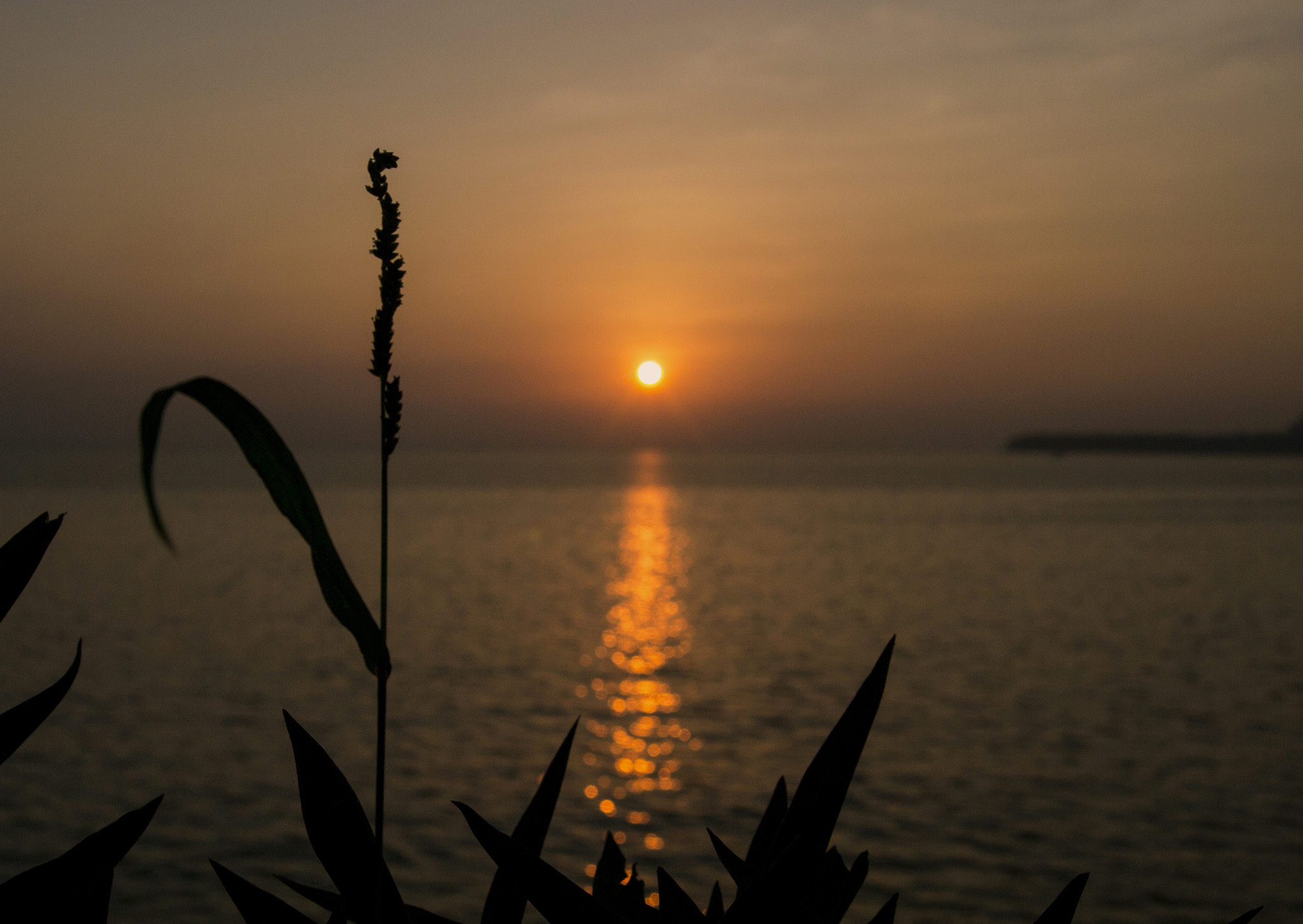 Nikon D3100 + AF Zoom-Nikkor 28-70mm f/3.5-4.5D sample photo. Sunset silhouette photography