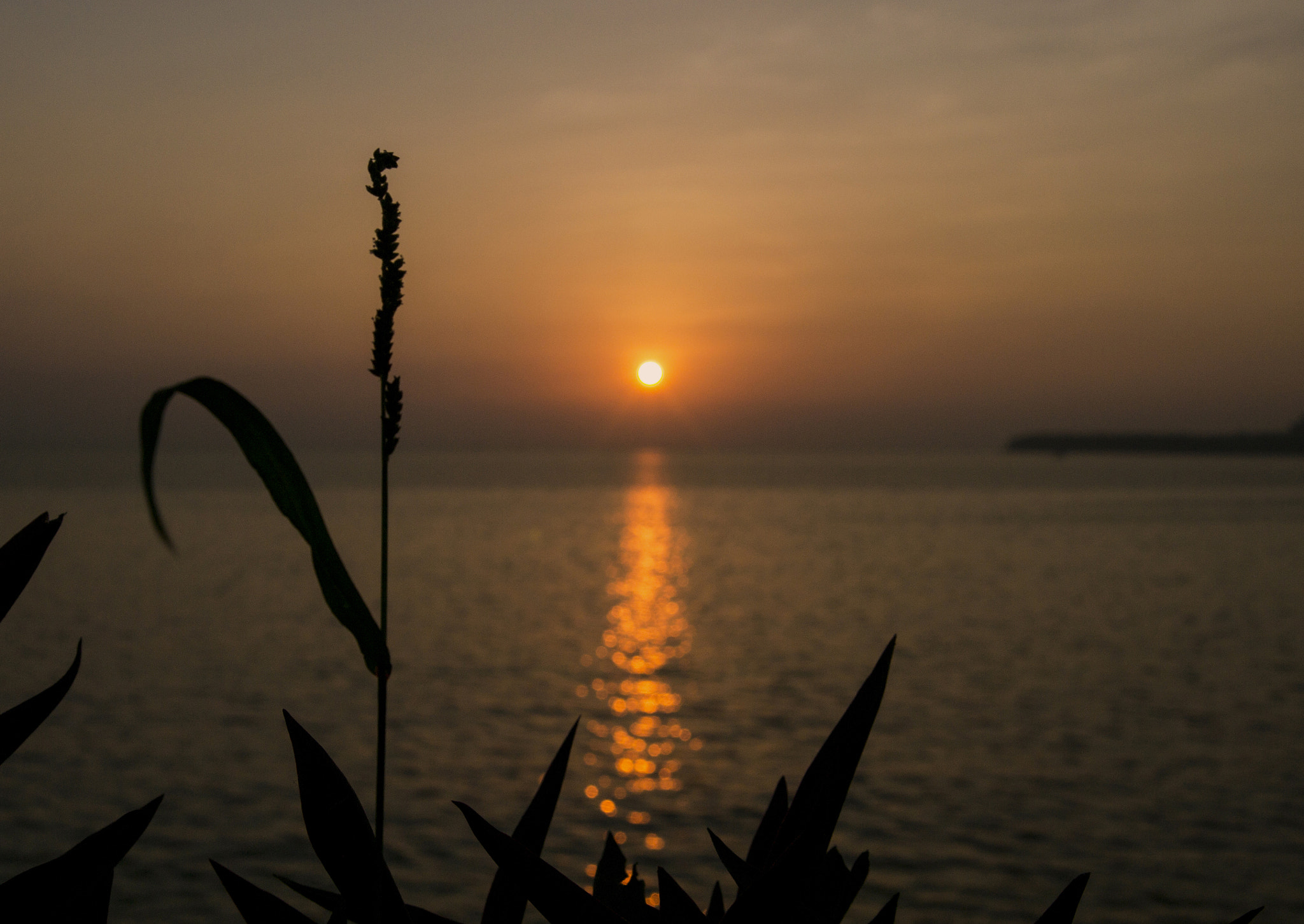 AF Zoom-Nikkor 28-70mm f/3.5-4.5D sample photo. Sunset silhouette photography