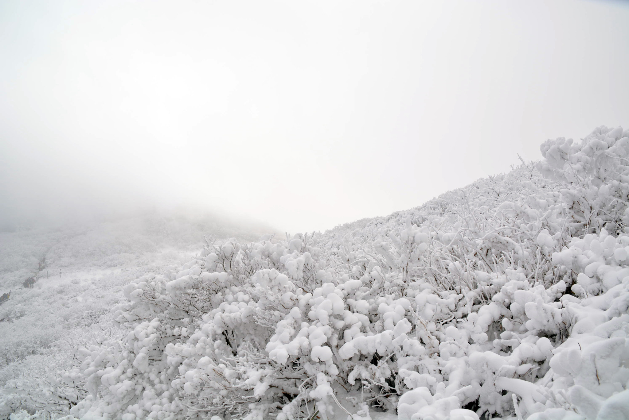 Sigma 18-250mm F3.5-6.3 DC OS HSM sample photo. 덕유산 photography