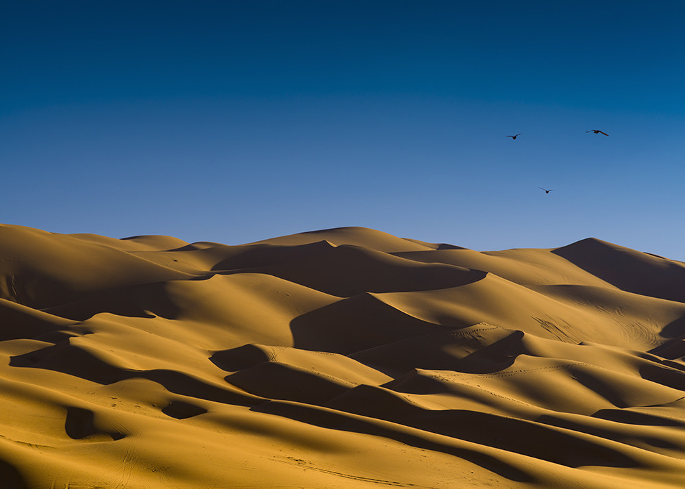 Pentax 645Z + smc PENTAX-FA 645 Macro 120mm F4 sample photo. Liwa desert photography