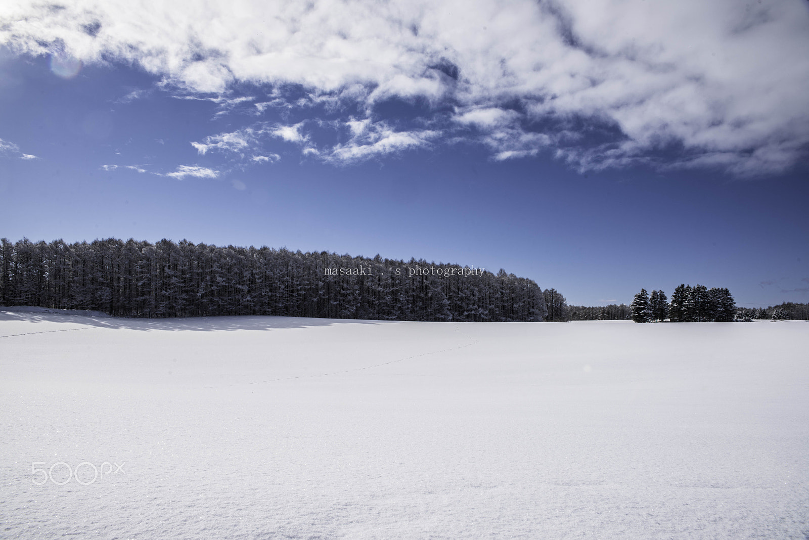 Sigma 24-70mm F2.8 EX DG HSM sample photo. Coat of snow photography