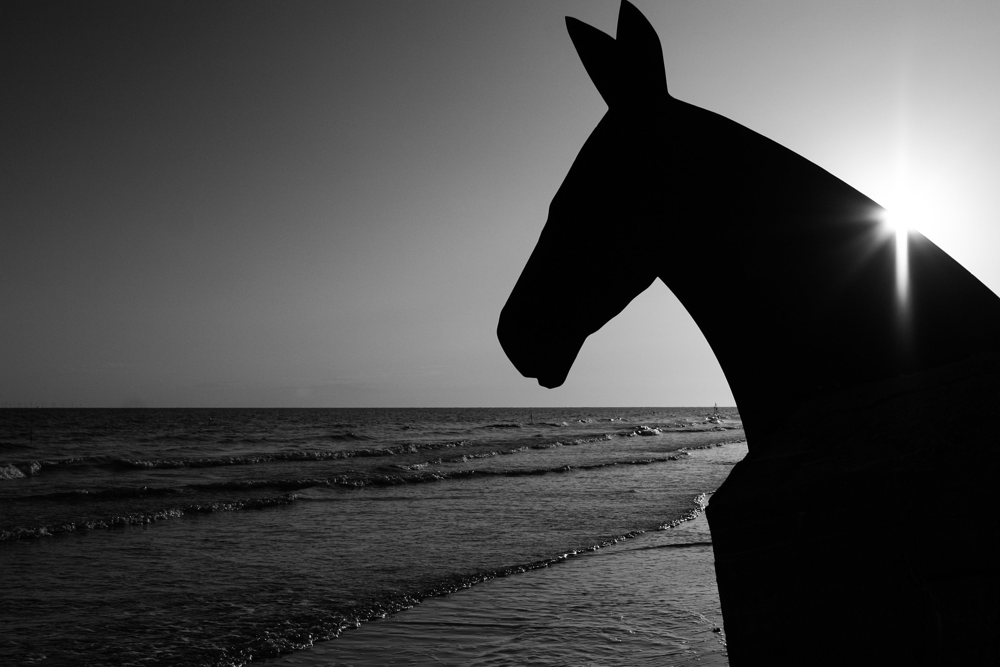 Canon EOS 30D + Canon EF 24-70mm F2.8L USM sample photo. Horse at the beach. photography