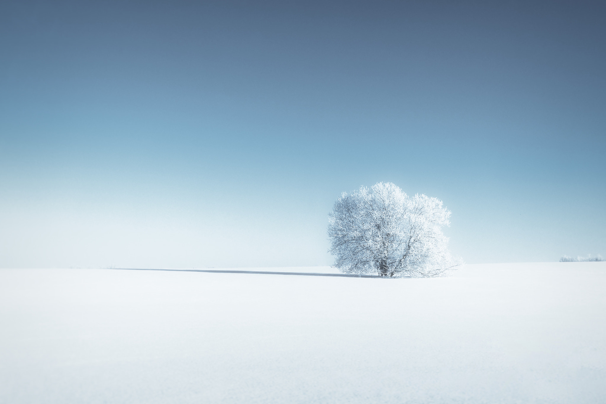 Panasonic Lumix G X Vario 12-35mm F2.8 ASPH Power OIS sample photo. Winter blues photography