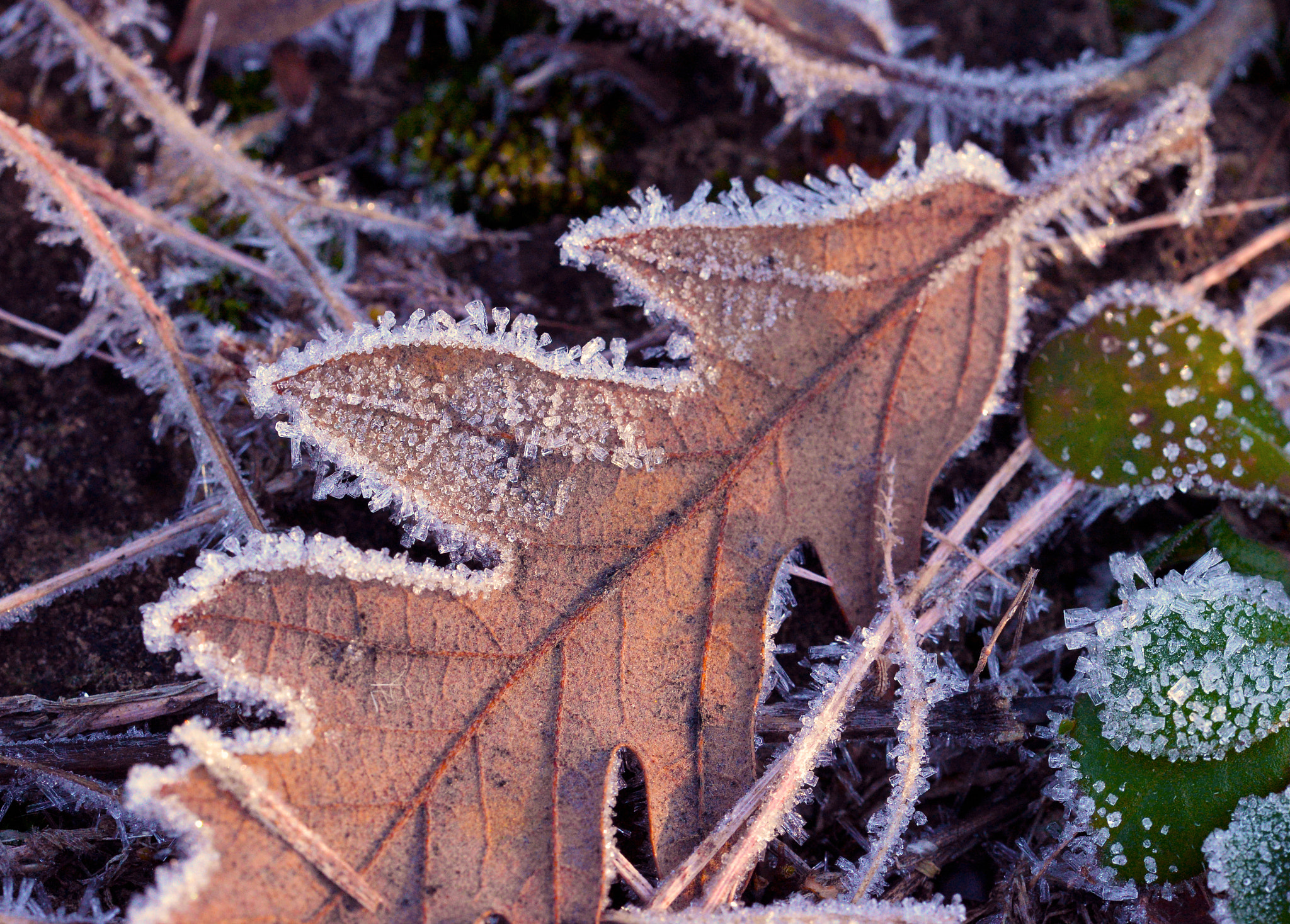 Nikon D610 + Nikon AF Nikkor 28mm F2.8D sample photo. Ice photography