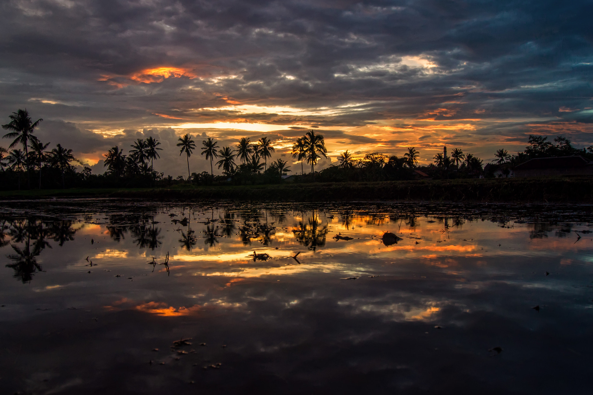 Sony Alpha DSLR-A560 sample photo. Refleksi petang photography