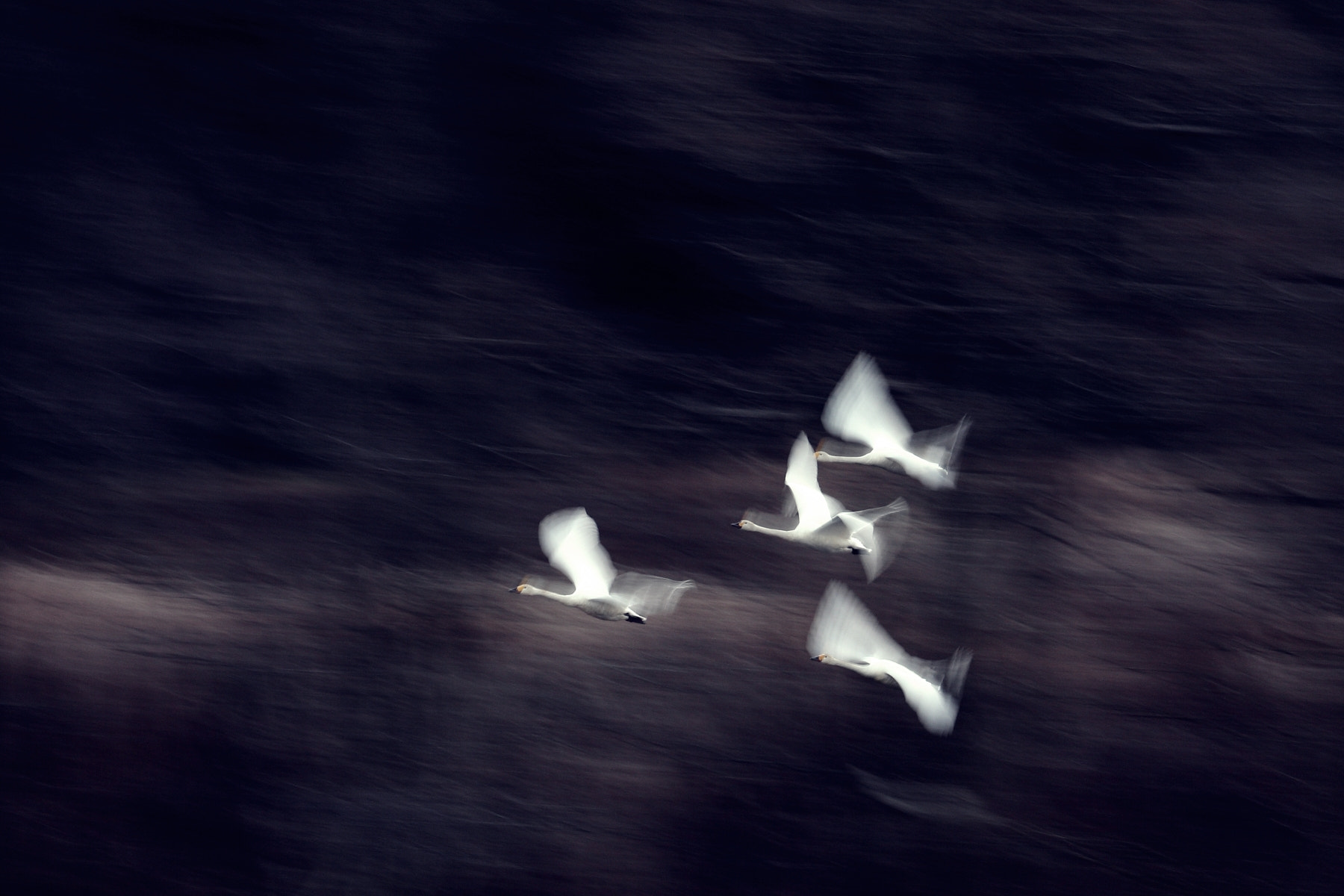 大当たりカジノオンライン