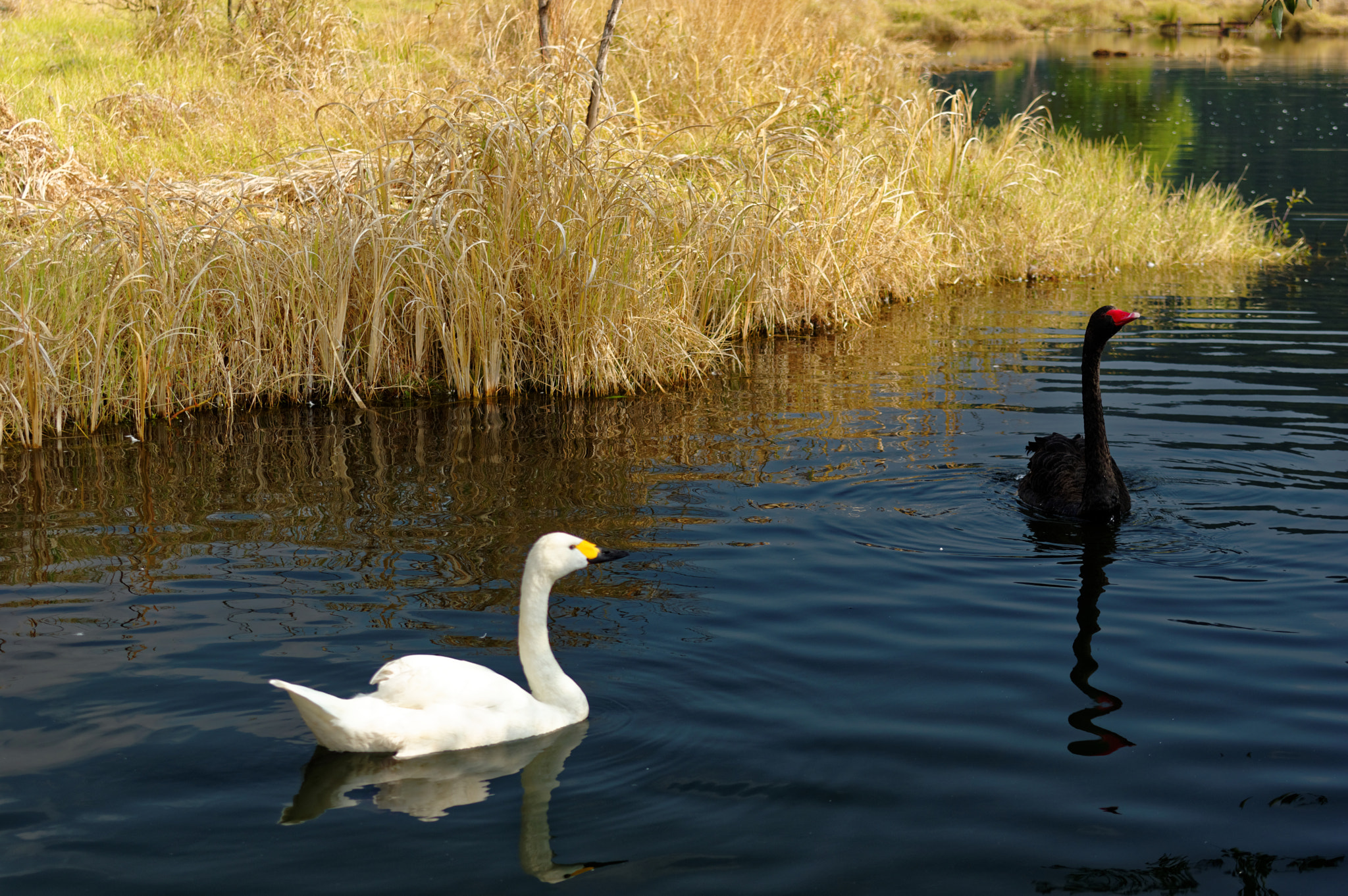 smc PENTAX-FA* 28-70mm F2.8 AL sample photo. Dxo photography