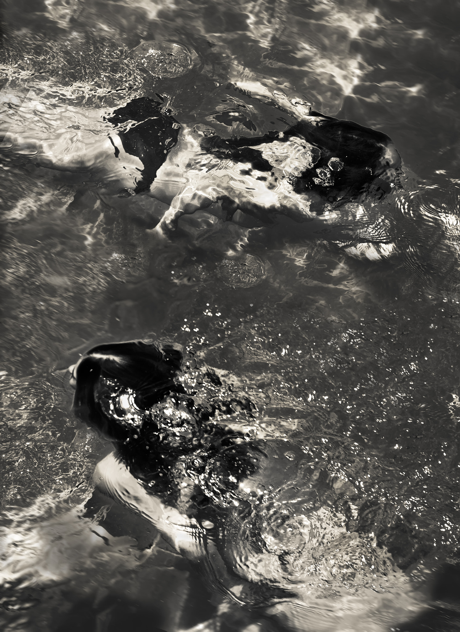 Nikon D40X sample photo. Sirenas photography