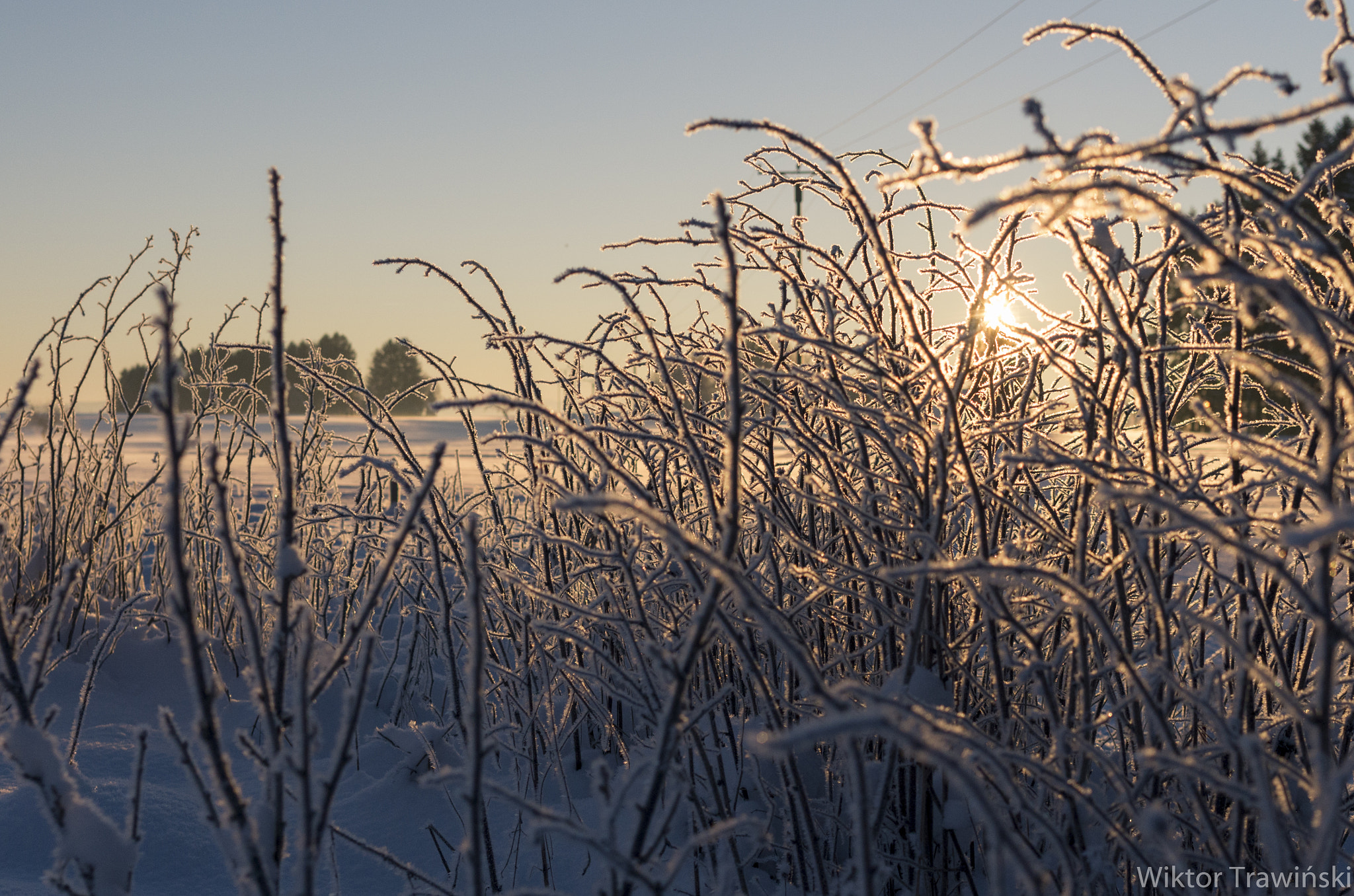 Pentax K-5 IIs sample photo. Frosty morning photography