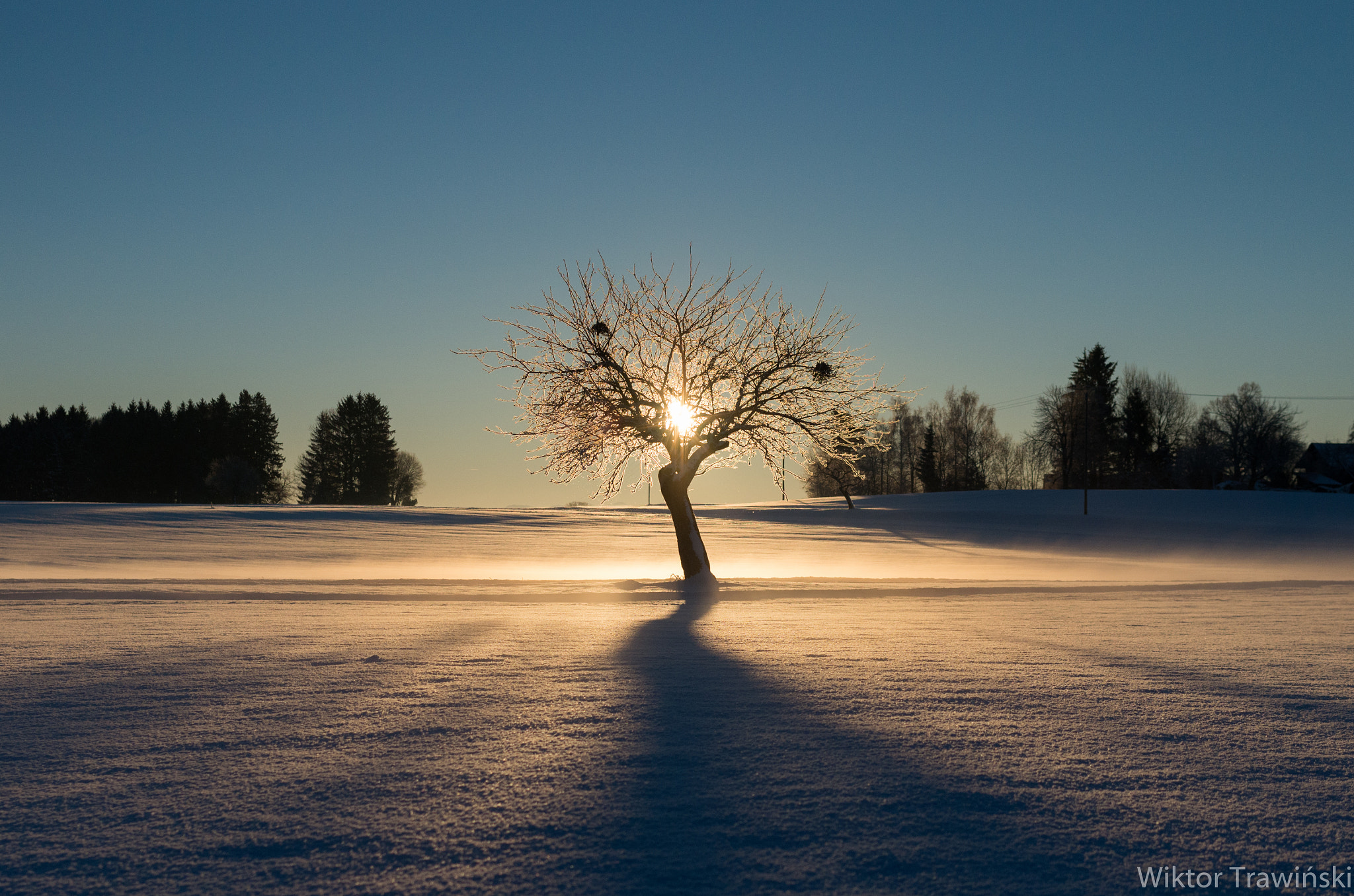 Pentax K-5 IIs sample photo. Winter tree photography